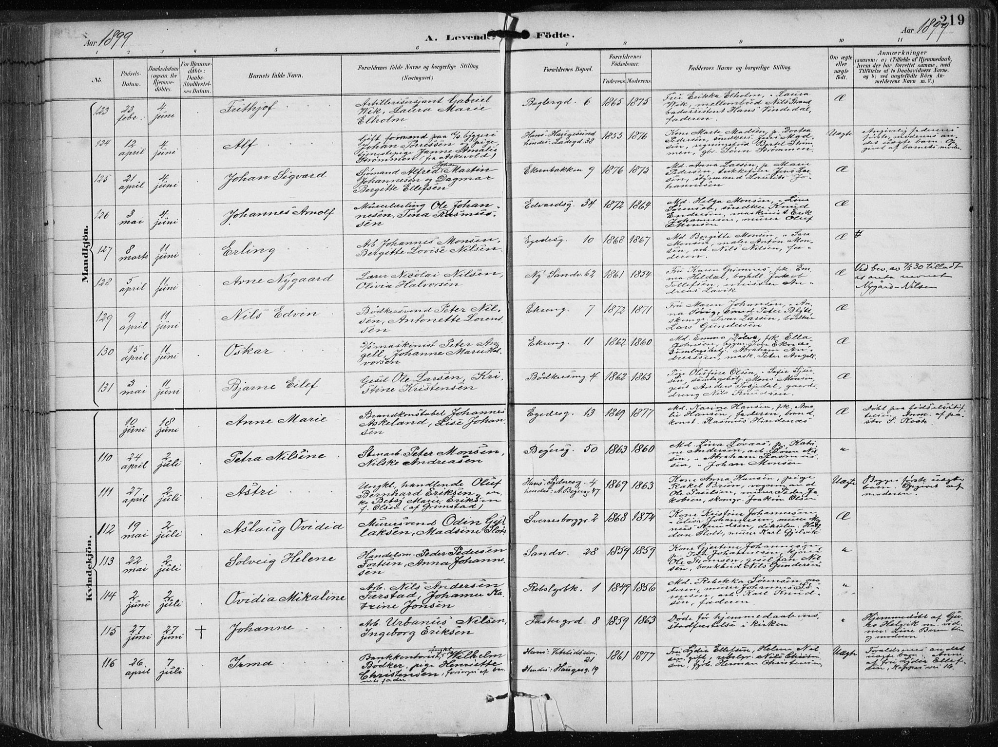 Sandviken Sokneprestembete, AV/SAB-A-77601/H/Ha/L0005: Parish register (official) no. B 2, 1891-1901, p. 219