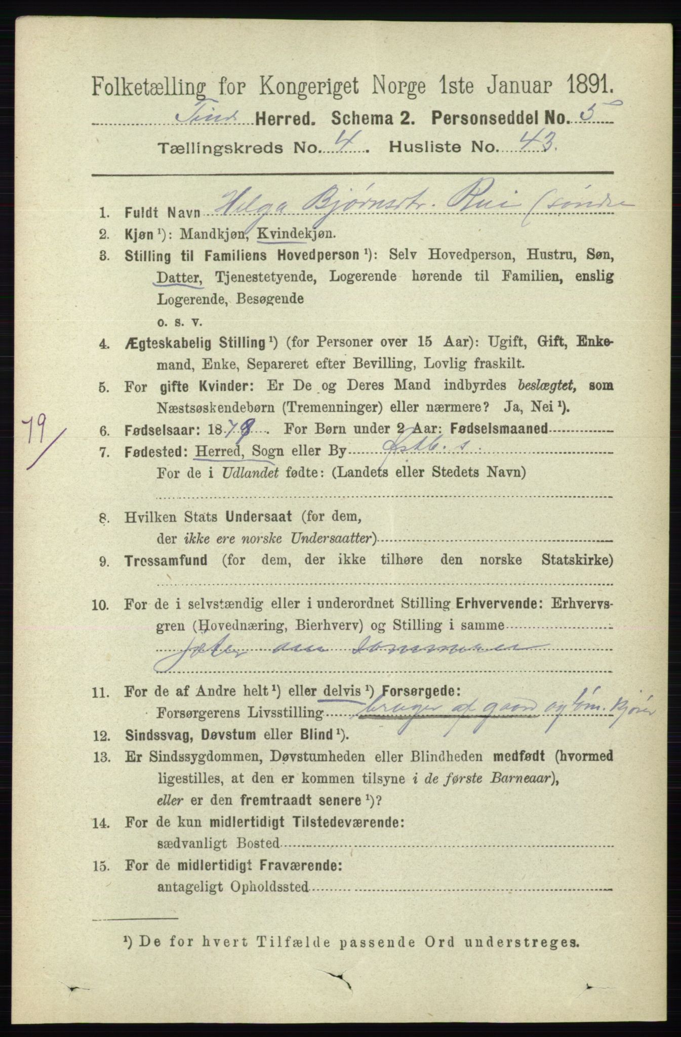 RA, 1891 census for 0826 Tinn, 1891, p. 965