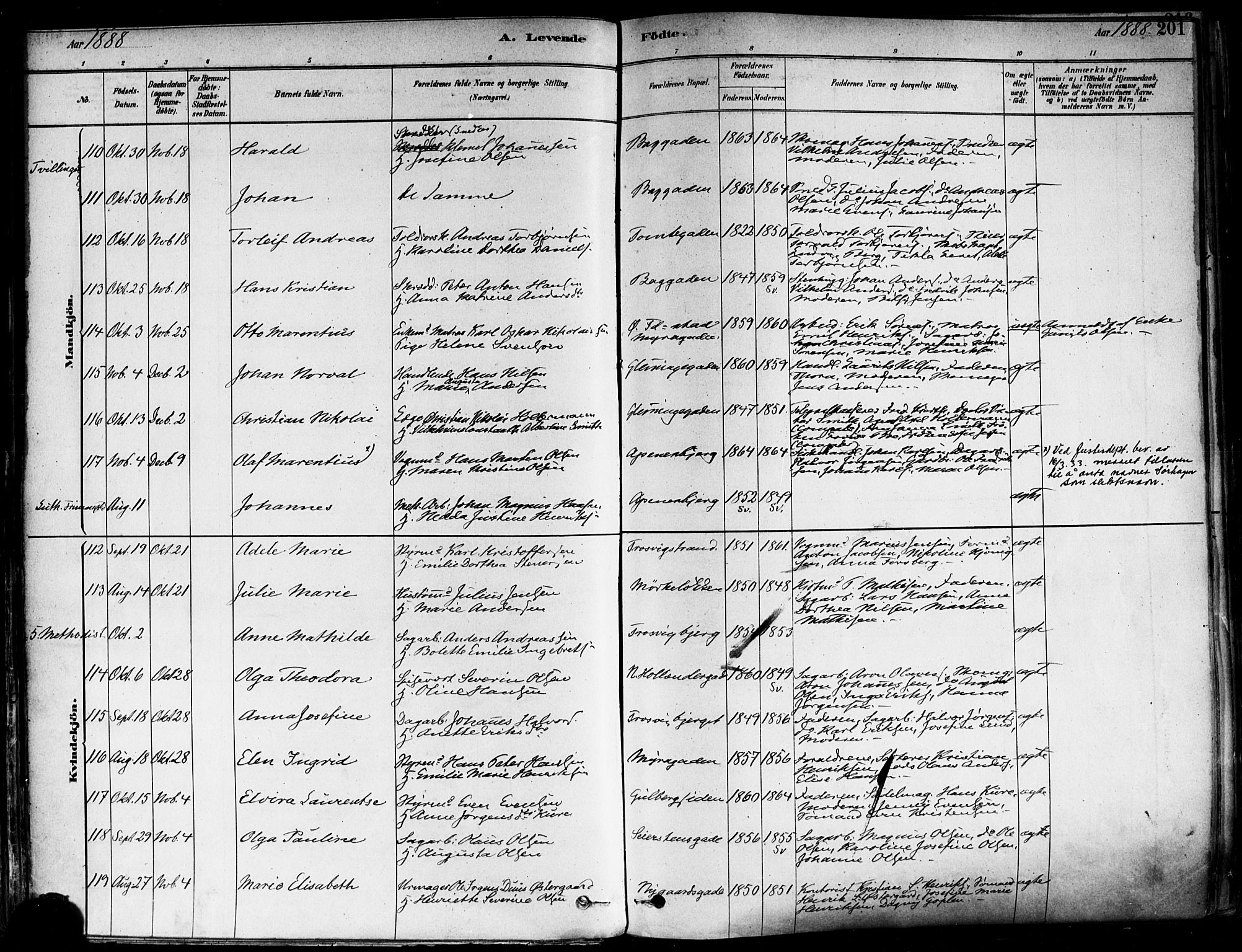 Fredrikstad domkirkes prestekontor Kirkebøker, SAO/A-10906/F/Fa/L0002: Parish register (official) no. 2, 1878-1894, p. 201
