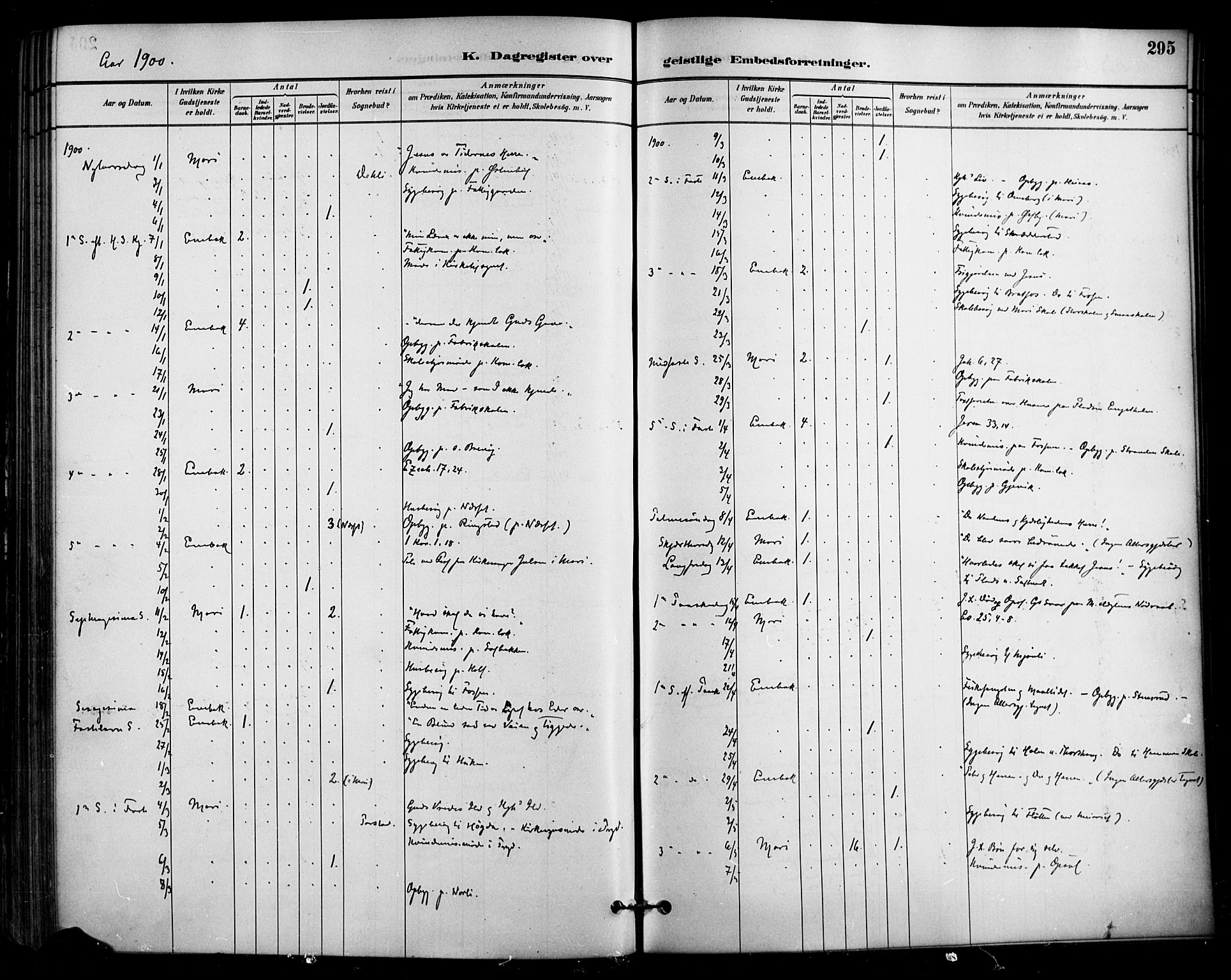 Enebakk prestekontor Kirkebøker, SAO/A-10171c/F/Fa/L0016: Parish register (official) no. I 16, 1883-1898, p. 295