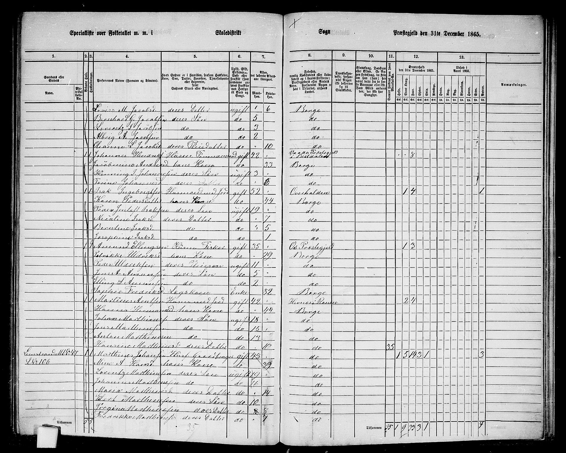 RA, 1865 census for Borge, 1865, p. 73