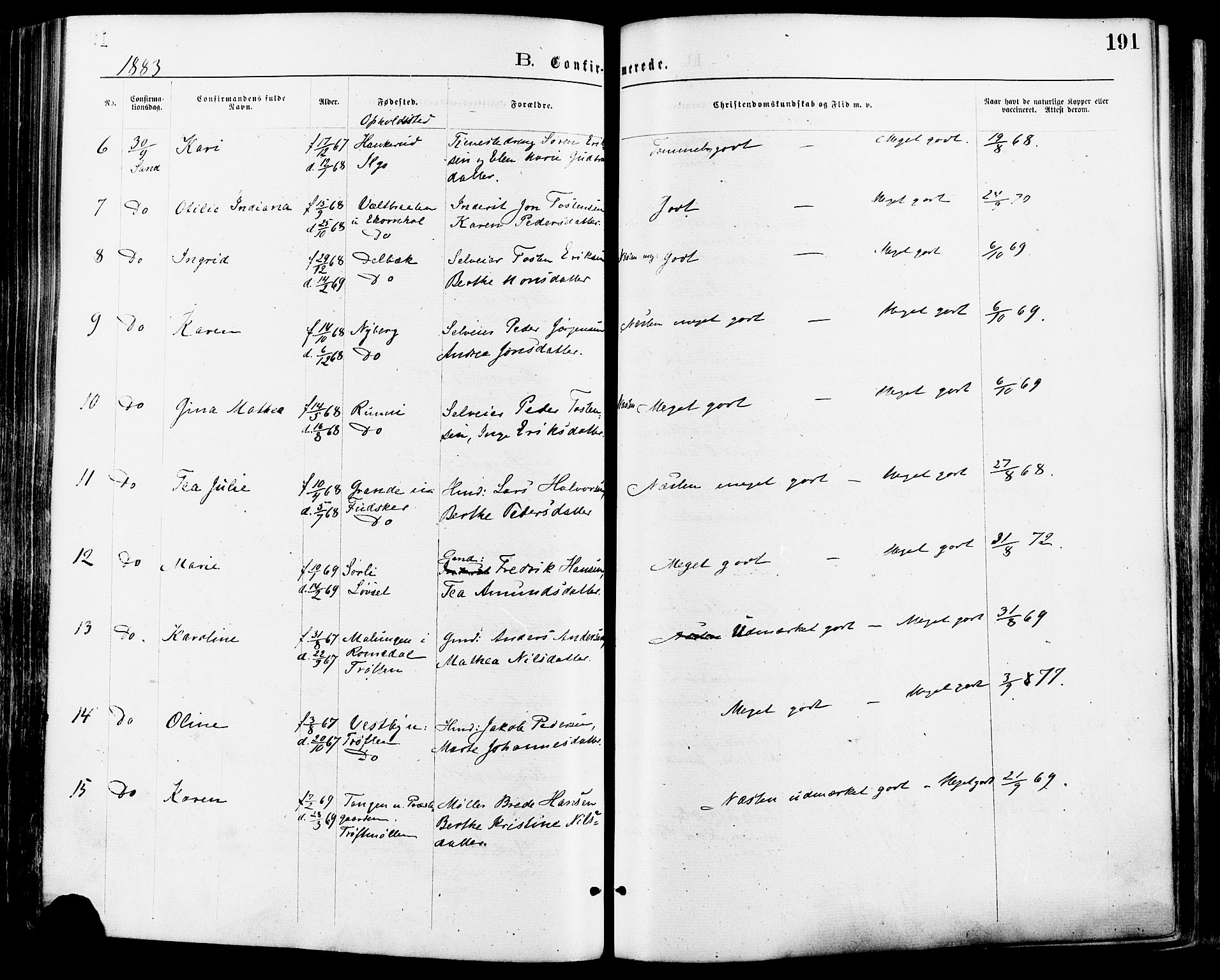 Nord-Odal prestekontor, AV/SAH-PREST-032/H/Ha/Haa/L0005: Parish register (official) no. 5, 1874-1885, p. 191