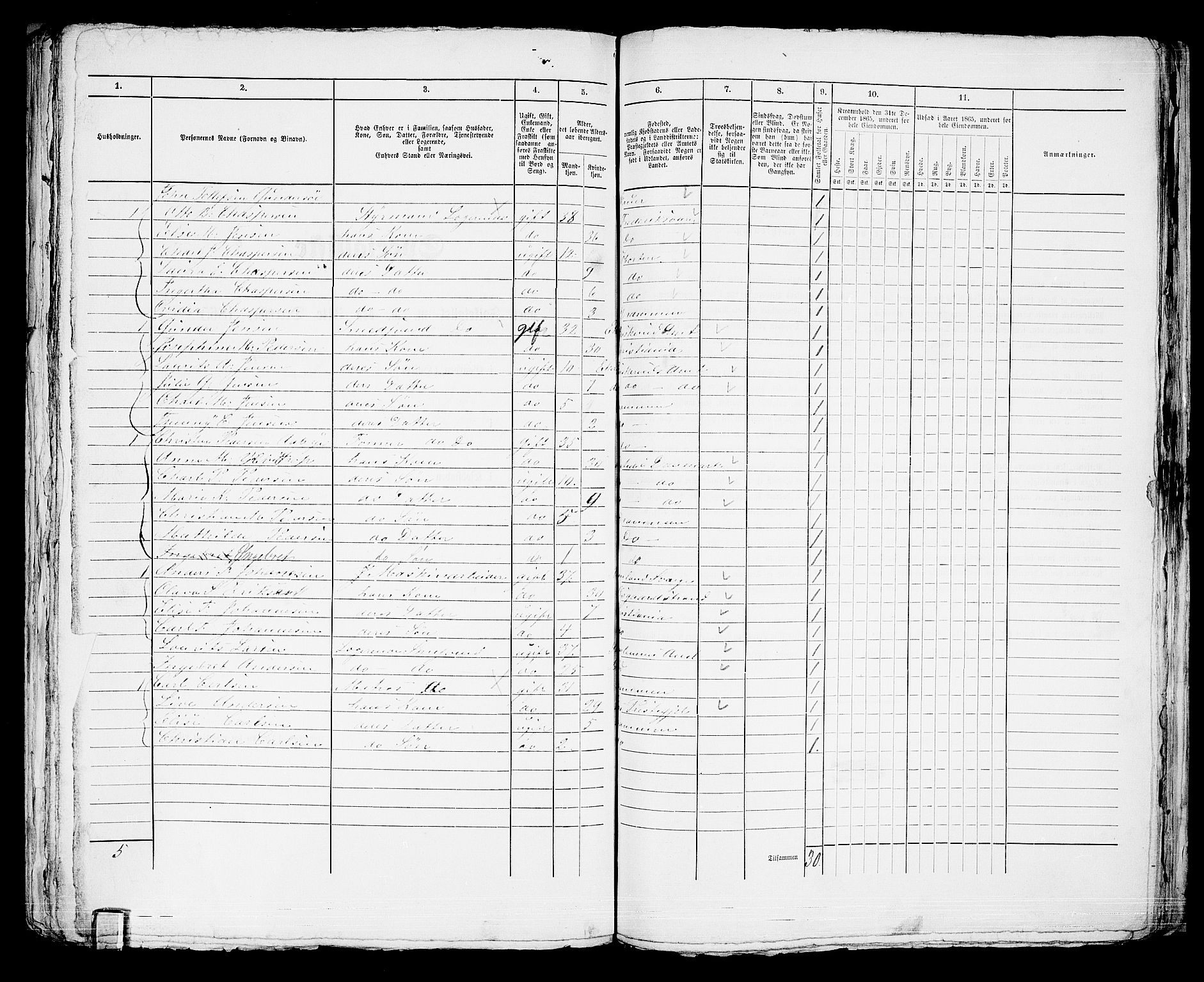 RA, 1865 census for Strømsø in Drammen, 1865, p. 981