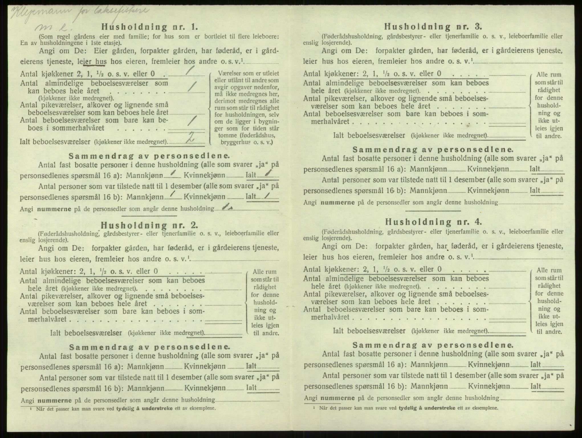 SAB, 1920 census for Lærdal, 1920, p. 538