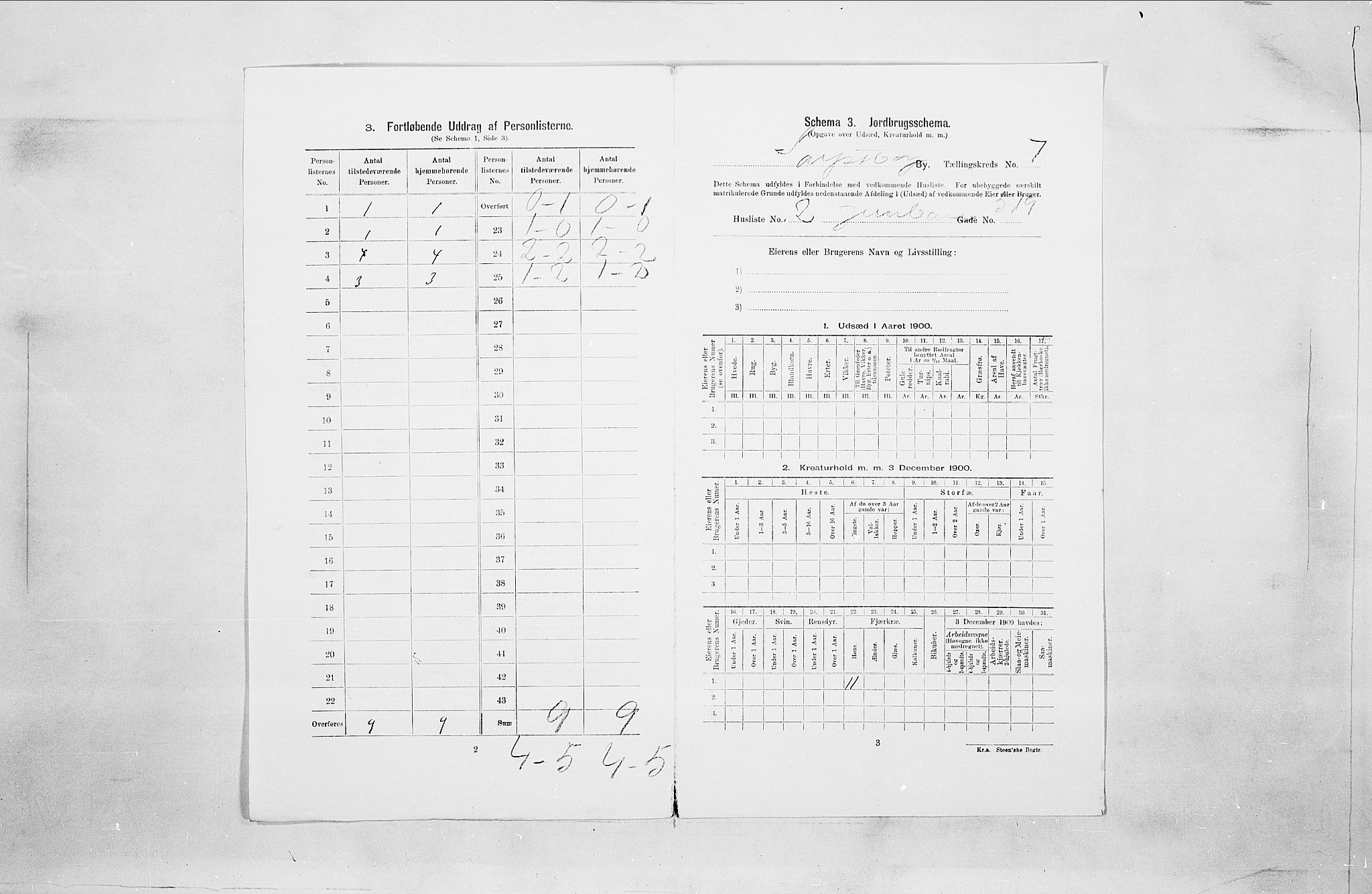 SAO, 1900 census for Sarpsborg, 1900