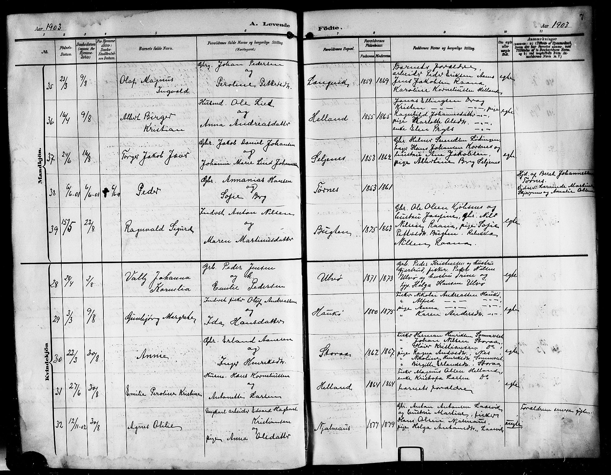 Ministerialprotokoller, klokkerbøker og fødselsregistre - Nordland, AV/SAT-A-1459/861/L0877: Parish register (copy) no. 861C03, 1903-1919, p. 7