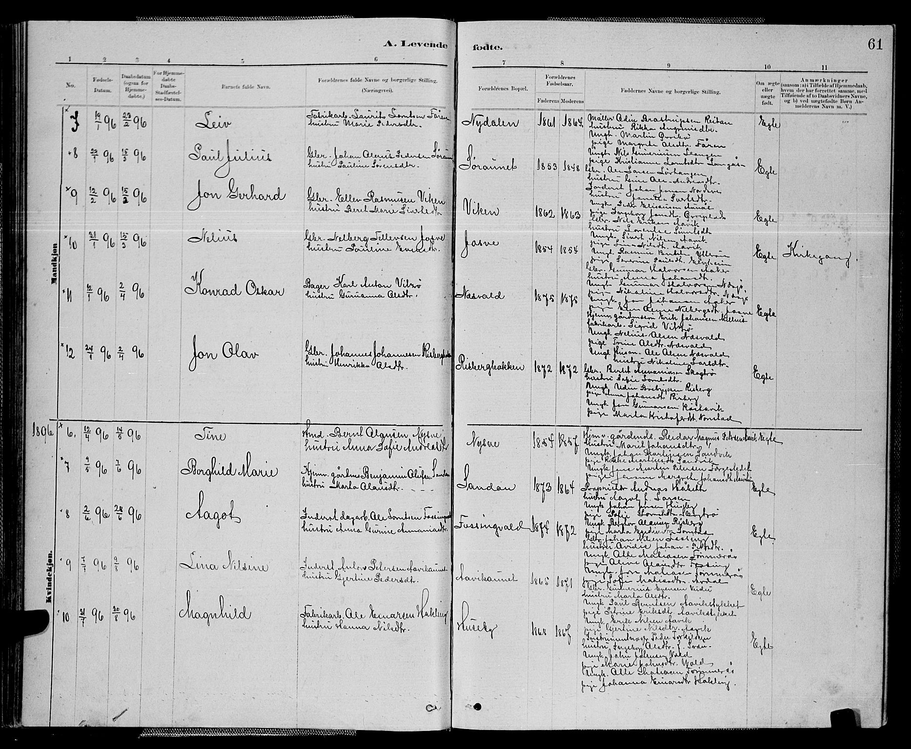 Ministerialprotokoller, klokkerbøker og fødselsregistre - Nord-Trøndelag, AV/SAT-A-1458/714/L0134: Parish register (copy) no. 714C03, 1878-1898, p. 61