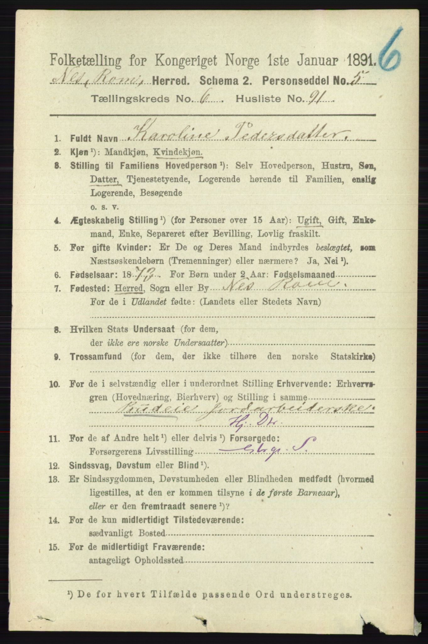 RA, 1891 census for 0236 Nes, 1891, p. 3939