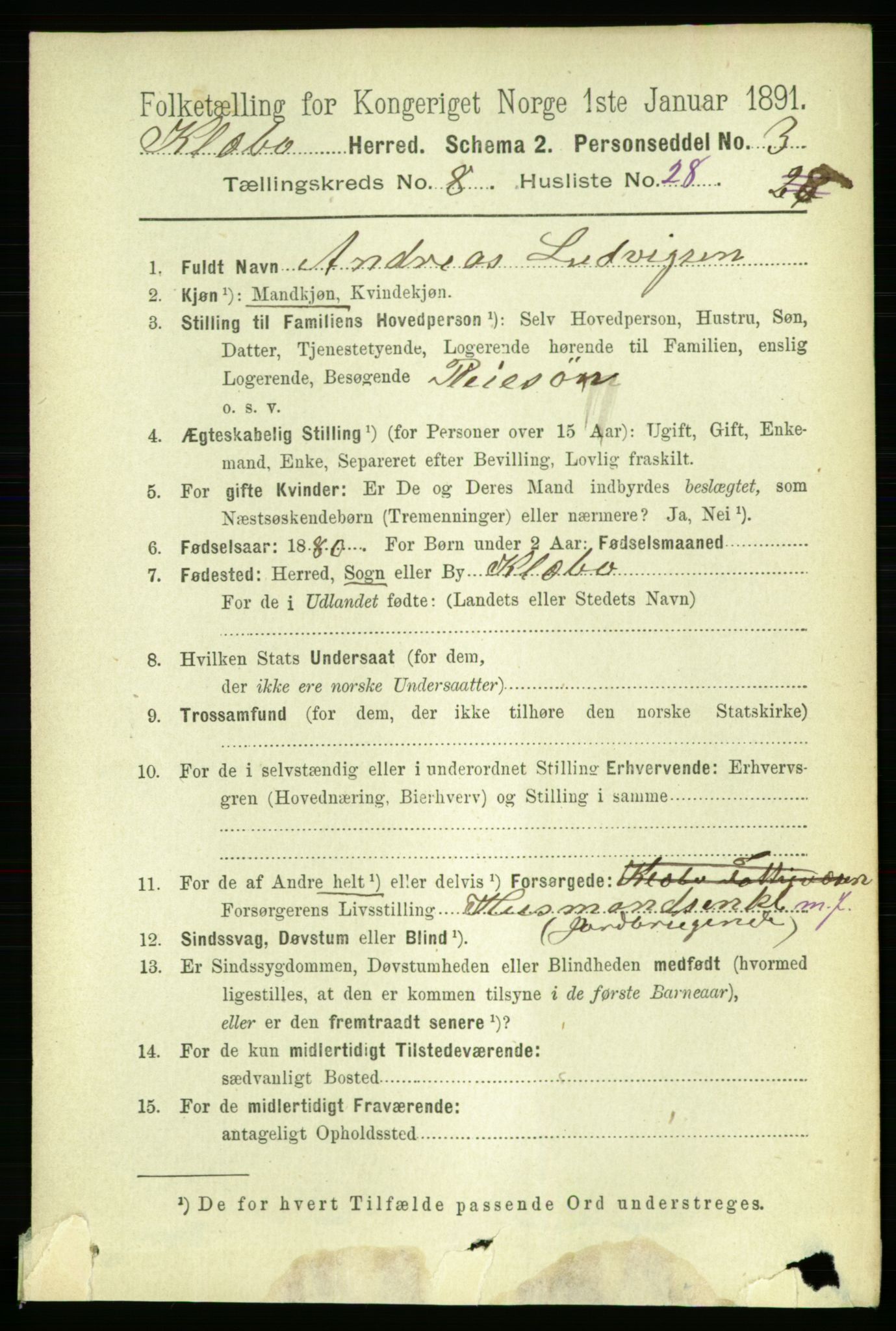 RA, 1891 census for 1662 Klæbu, 1891, p. 1713