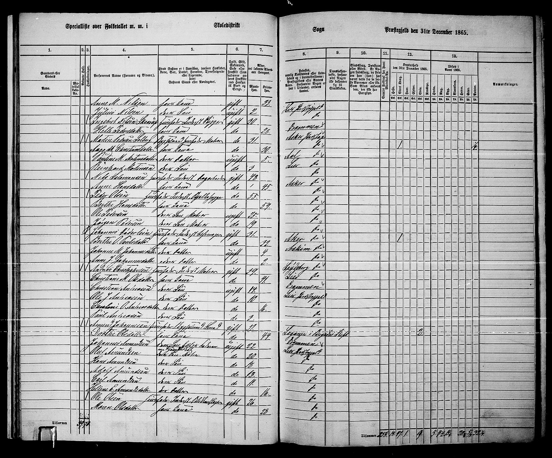 RA, 1865 census for Lier, 1865, p. 25