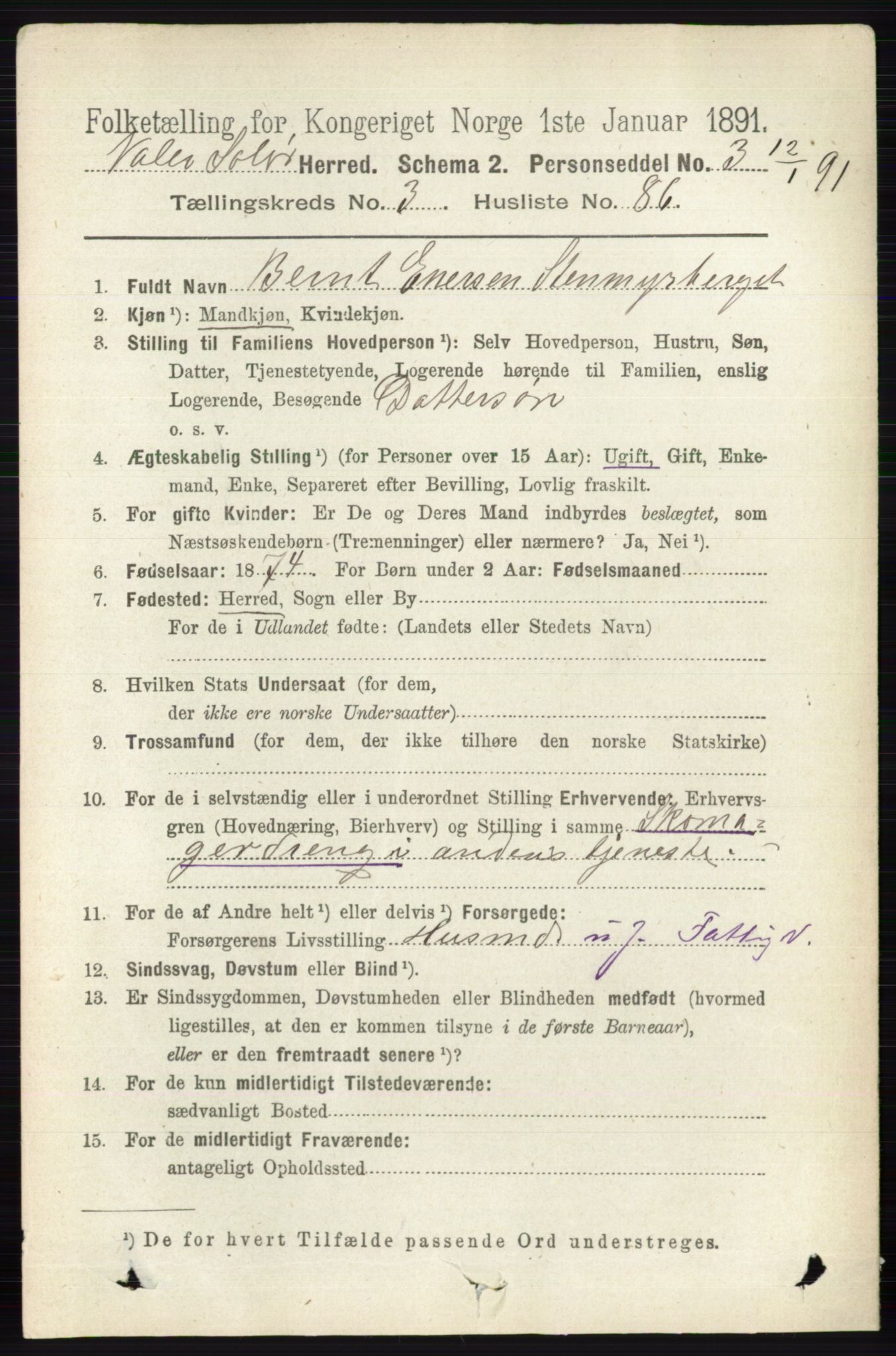 RA, 1891 census for 0426 Våler, 1891, p. 1403