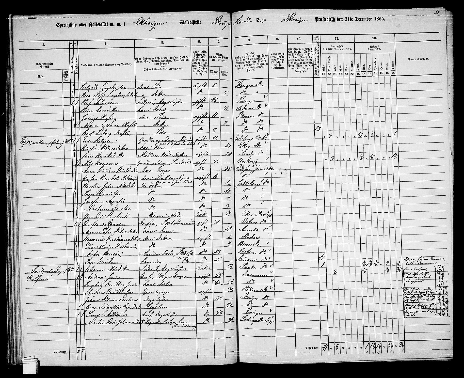 RA, 1865 census for Skoger, 1865, p. 71