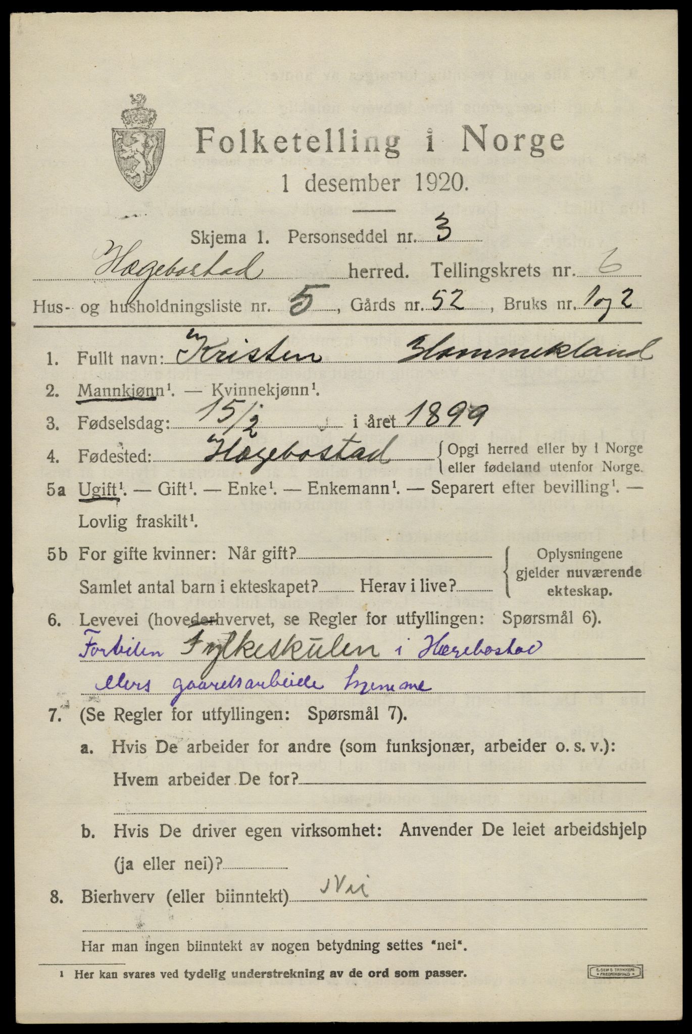 SAK, 1920 census for Hægebostad, 1920, p. 2025