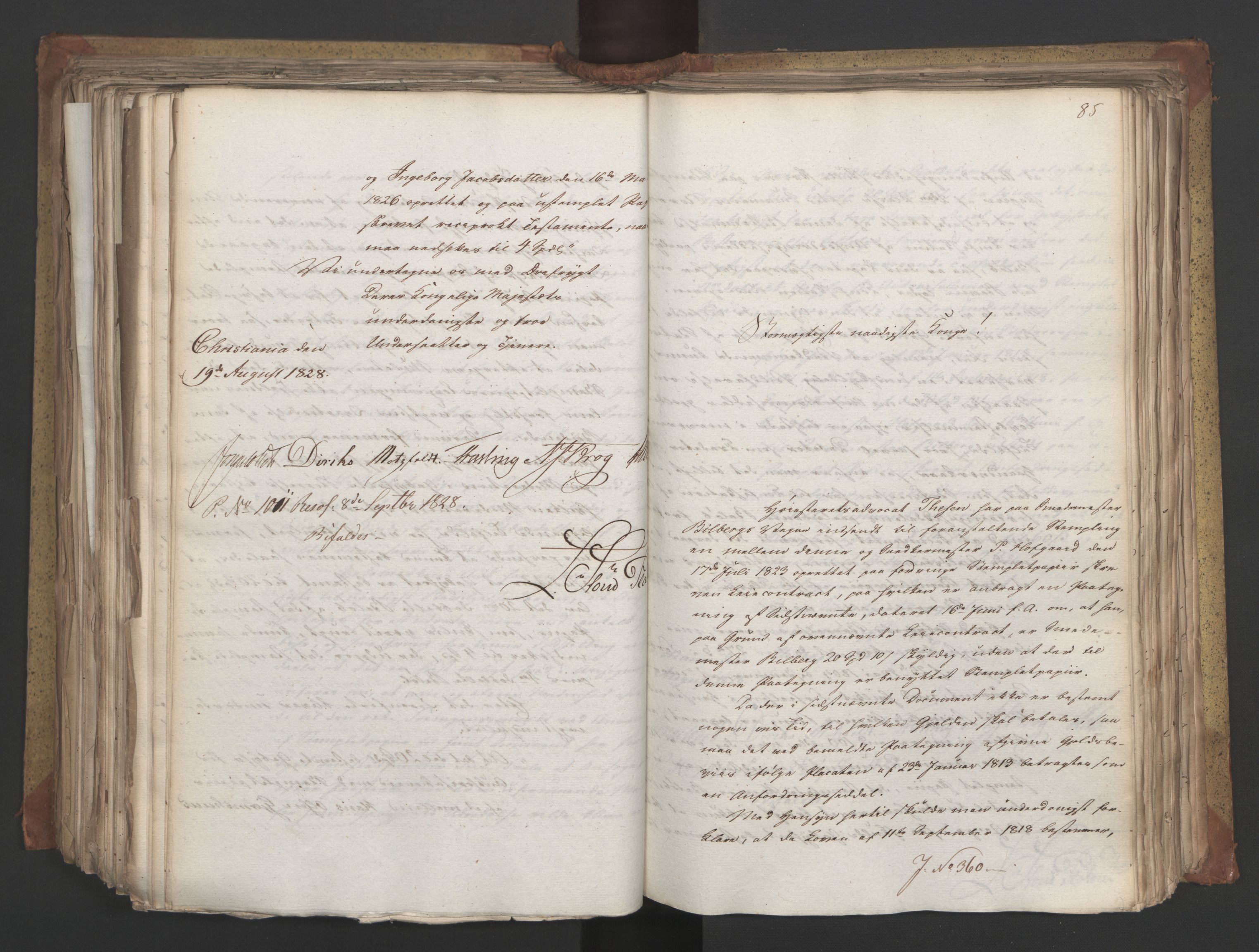 Statsrådsavdelingen i Stockholm, RA/S-1003/D/Da/L0055: Regjeringsinnstillinger nr. 231-435, 1828, p. 433