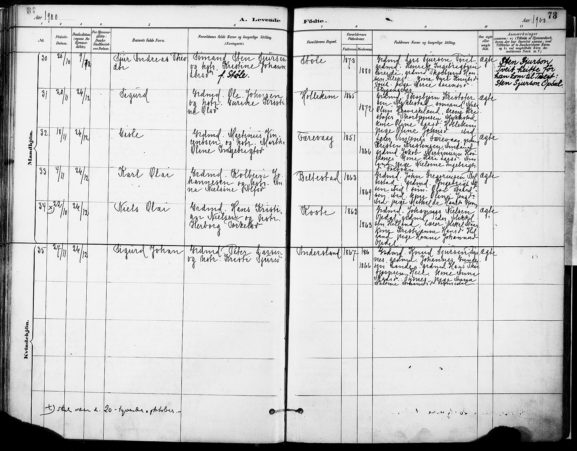 Tysnes sokneprestembete, AV/SAB-A-78601/H/Haa: Parish register (official) no. D 1, 1887-1904, p. 73