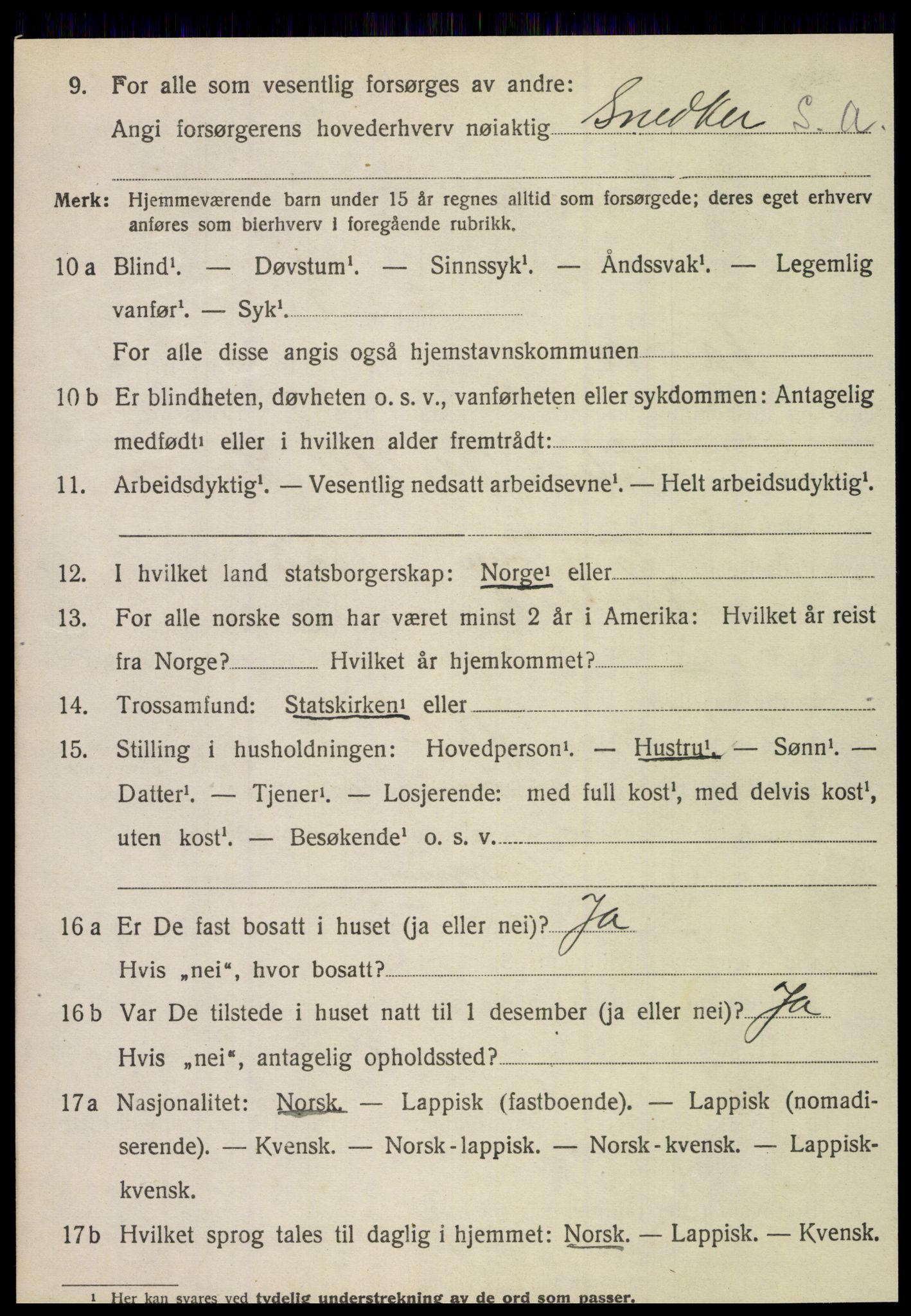 SAT, 1920 census for Fauske, 1920, p. 12913