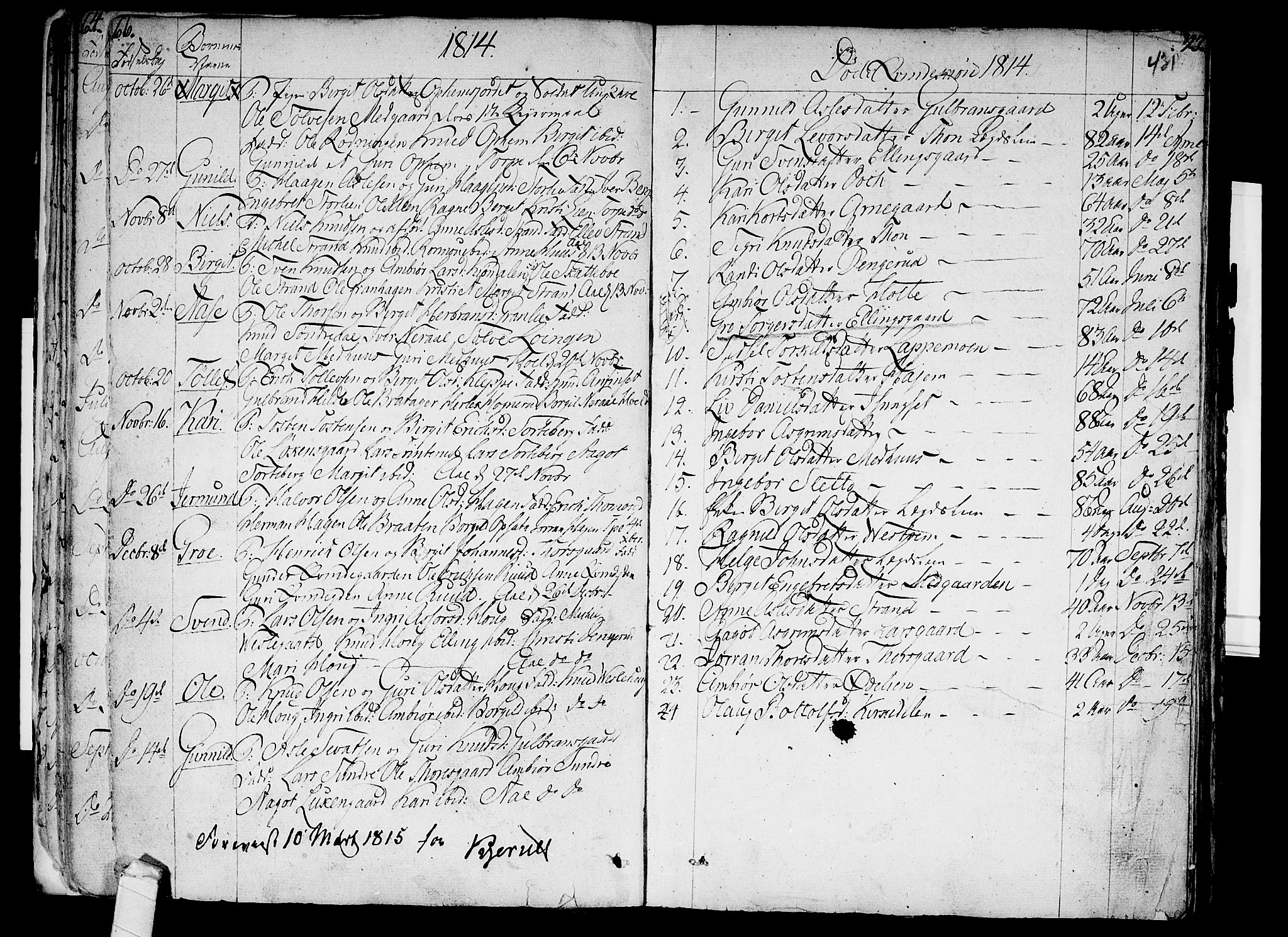 Ål kirkebøker, SAKO/A-249/F/Fa/L0003: Parish register (official) no. I 3, 1807-1814, p. 66-67