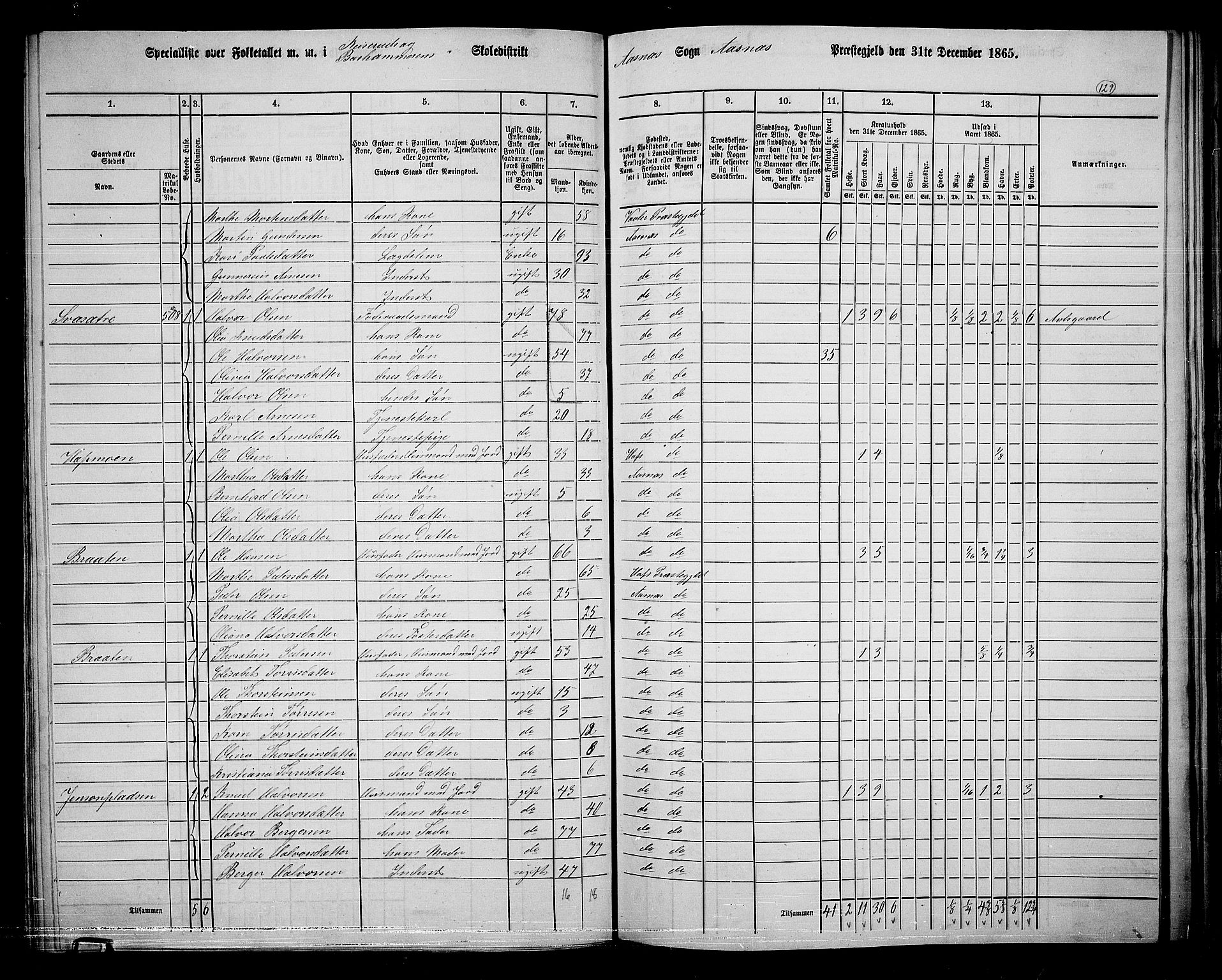 RA, 1865 census for Åsnes, 1865, p. 120