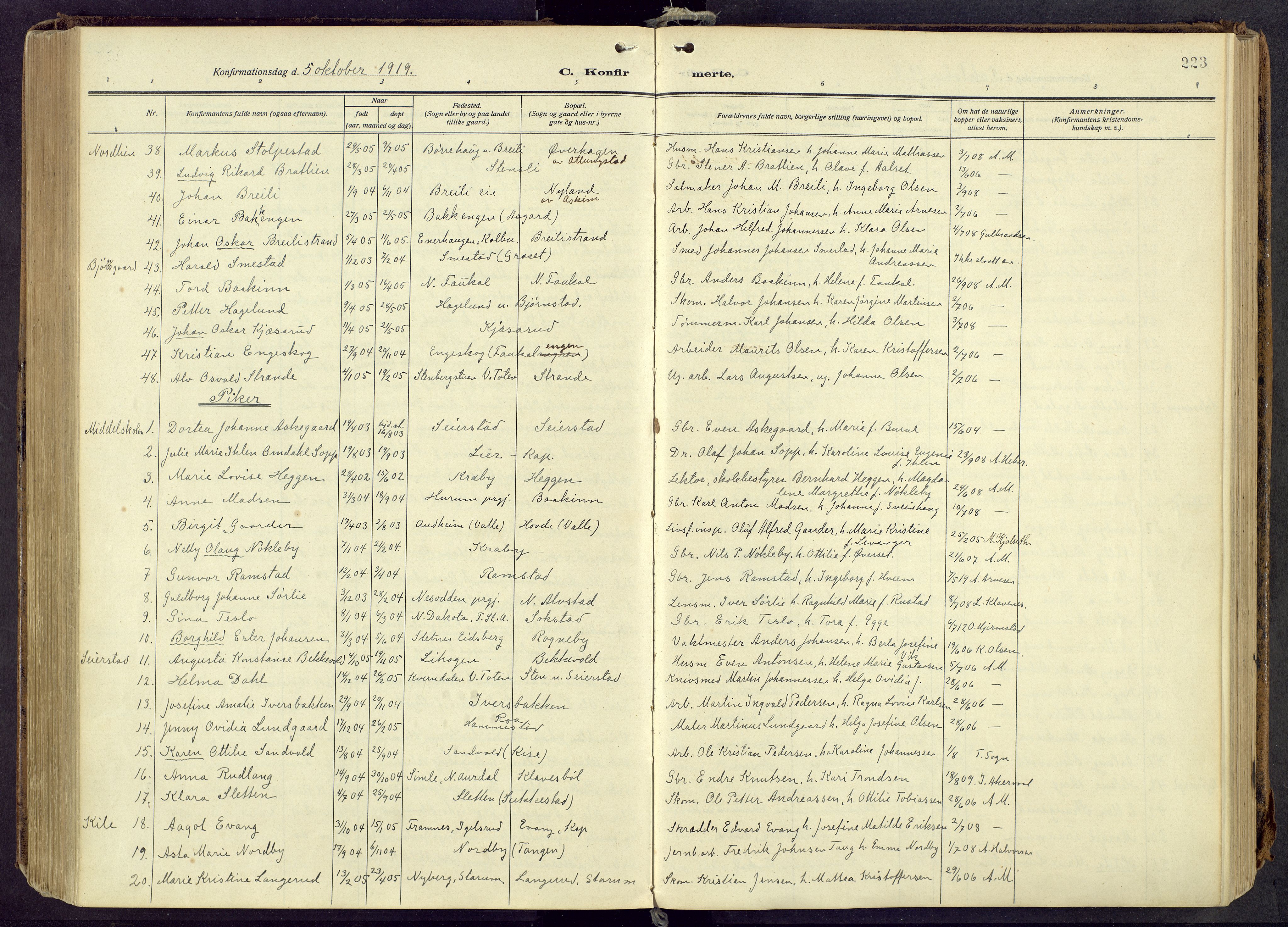 Østre Toten prestekontor, AV/SAH-PREST-104/H/Ha/Haa/L0010: Parish register (official) no. 10, 1910-1920, p. 223