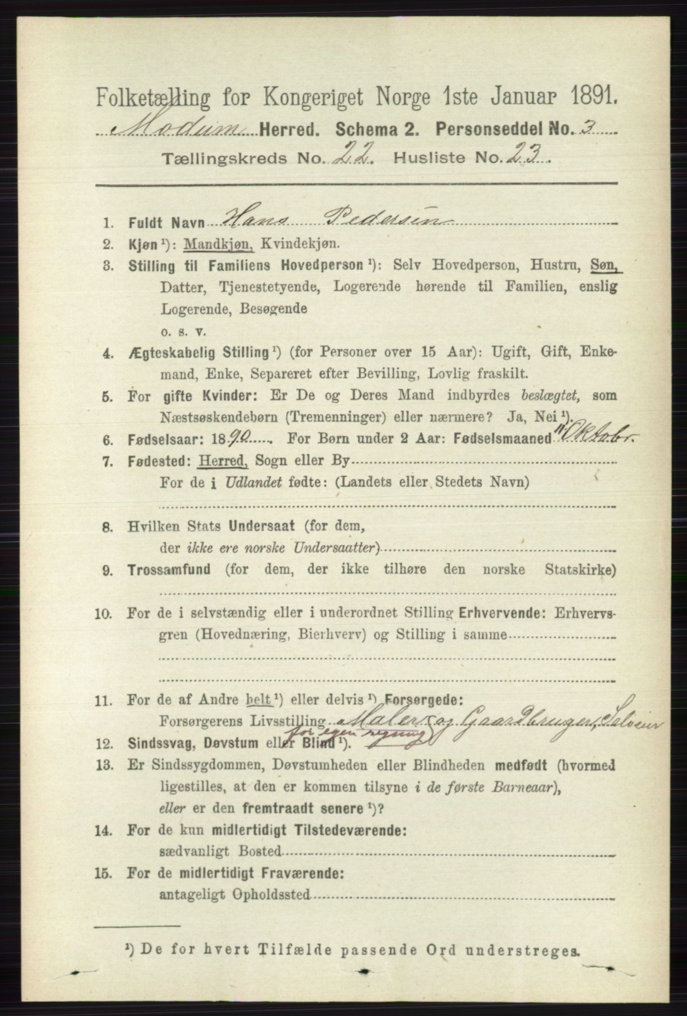 RA, 1891 census for 0623 Modum, 1891, p. 8513