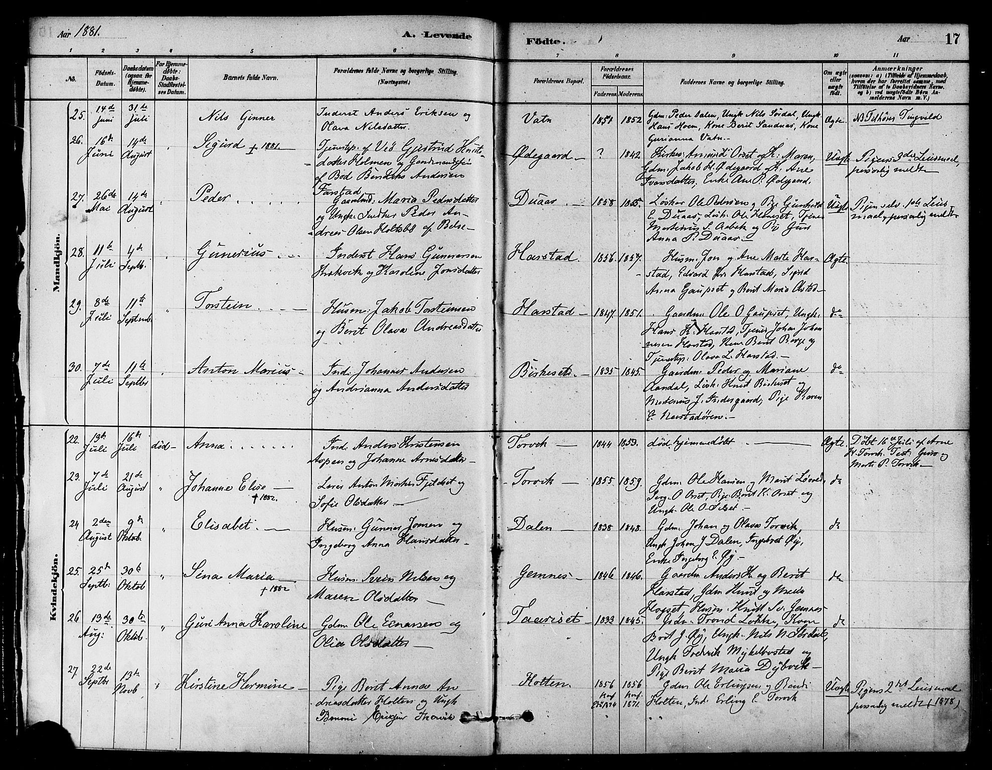 Ministerialprotokoller, klokkerbøker og fødselsregistre - Møre og Romsdal, AV/SAT-A-1454/584/L0967: Parish register (official) no. 584A07, 1879-1894, p. 17