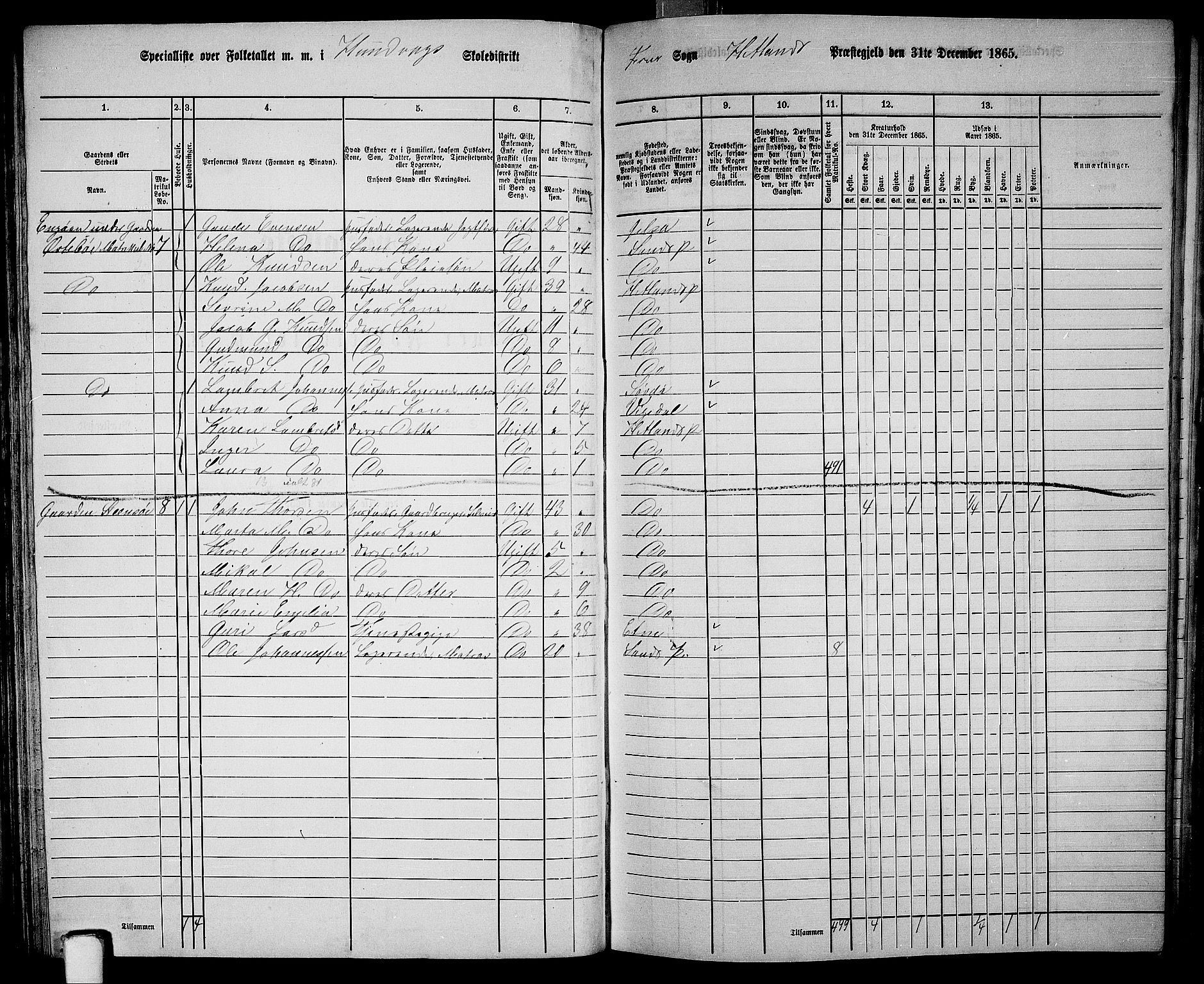 RA, 1865 census for Hetland, 1865, p. 64