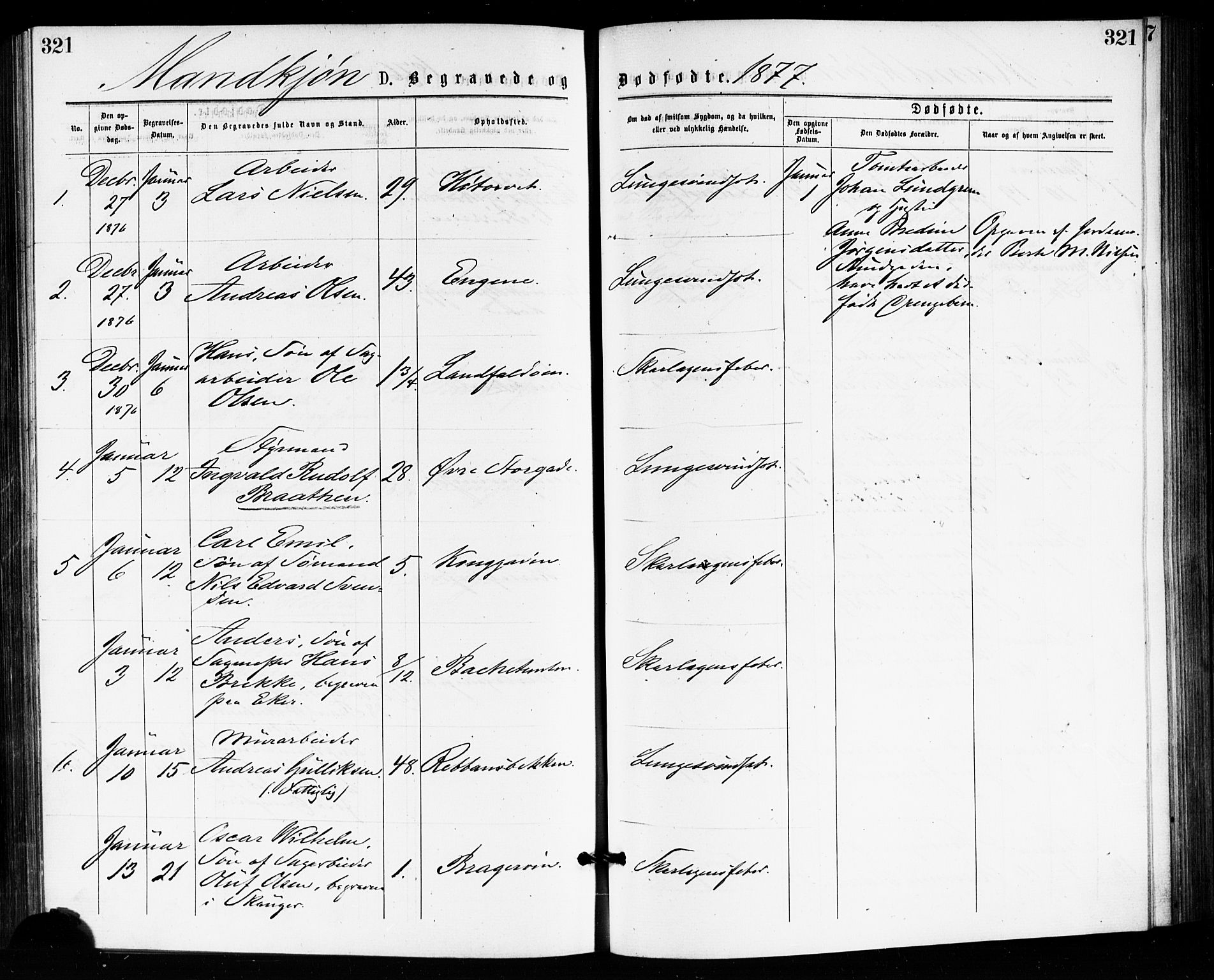 Bragernes kirkebøker, AV/SAKO-A-6/F/Fb/L0005: Parish register (official) no. II 5, 1875-1877, p. 321