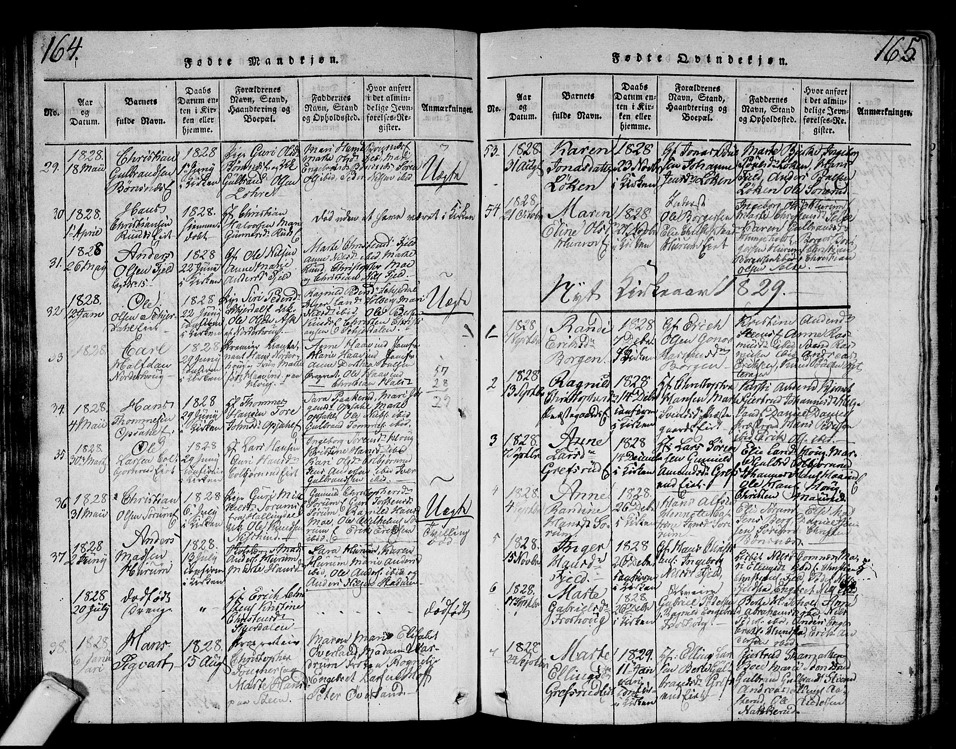 Hole kirkebøker, SAKO/A-228/G/Ga/L0001: Parish register (copy) no. I 1, 1814-1842, p. 164-165