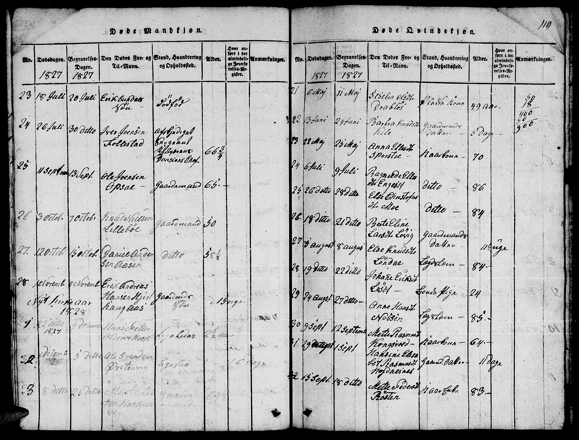 Ministerialprotokoller, klokkerbøker og fødselsregistre - Møre og Romsdal, AV/SAT-A-1454/511/L0155: Parish register (copy) no. 511C01, 1817-1829, p. 119