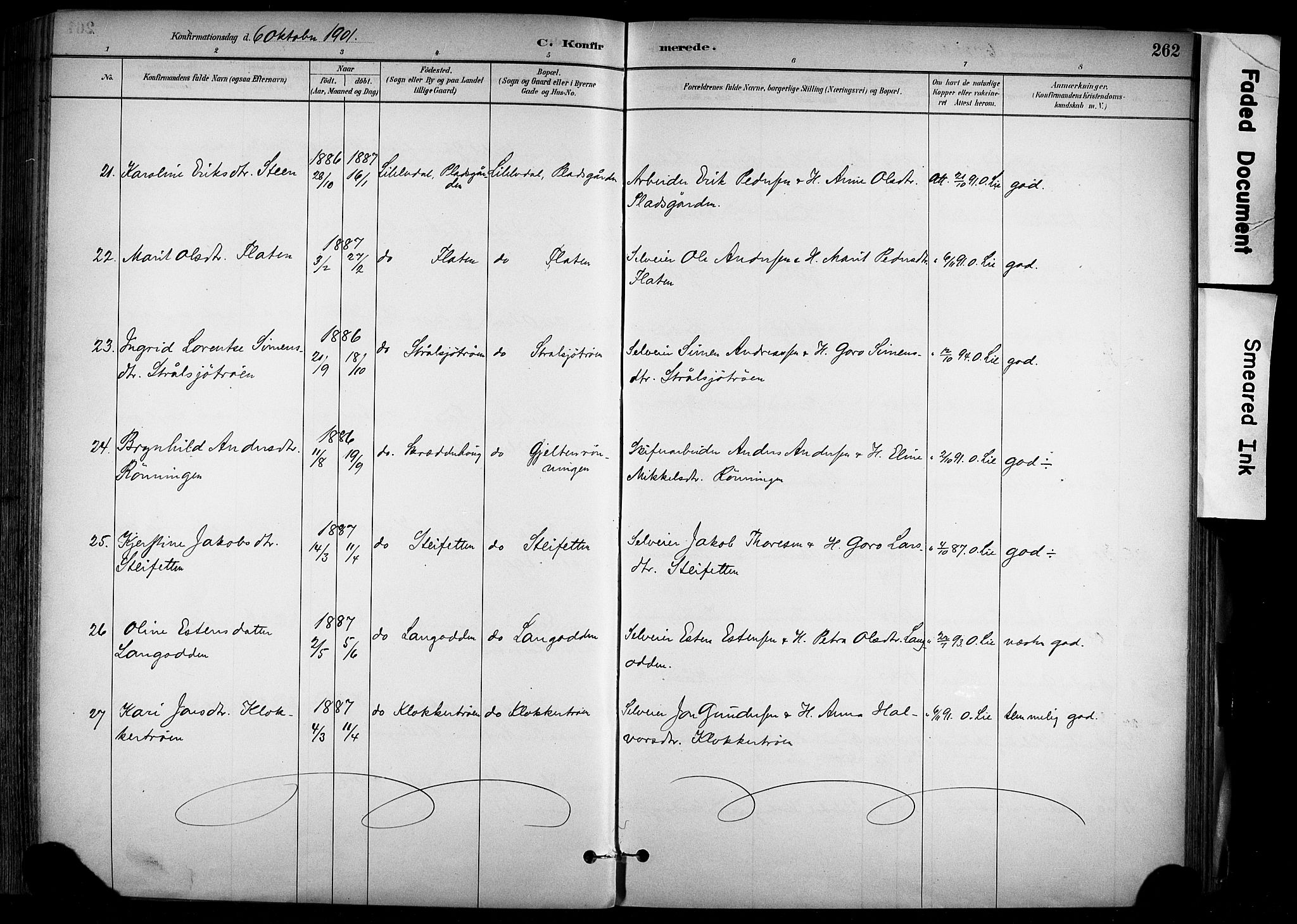 Alvdal prestekontor, AV/SAH-PREST-060/H/Ha/Haa/L0002: Parish register (official) no. 2, 1883-1906, p. 262