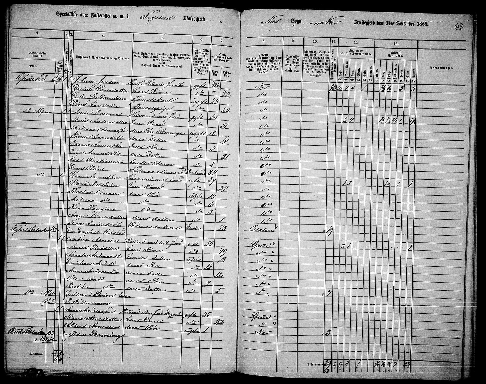 RA, 1865 census for Nes, 1865, p. 167