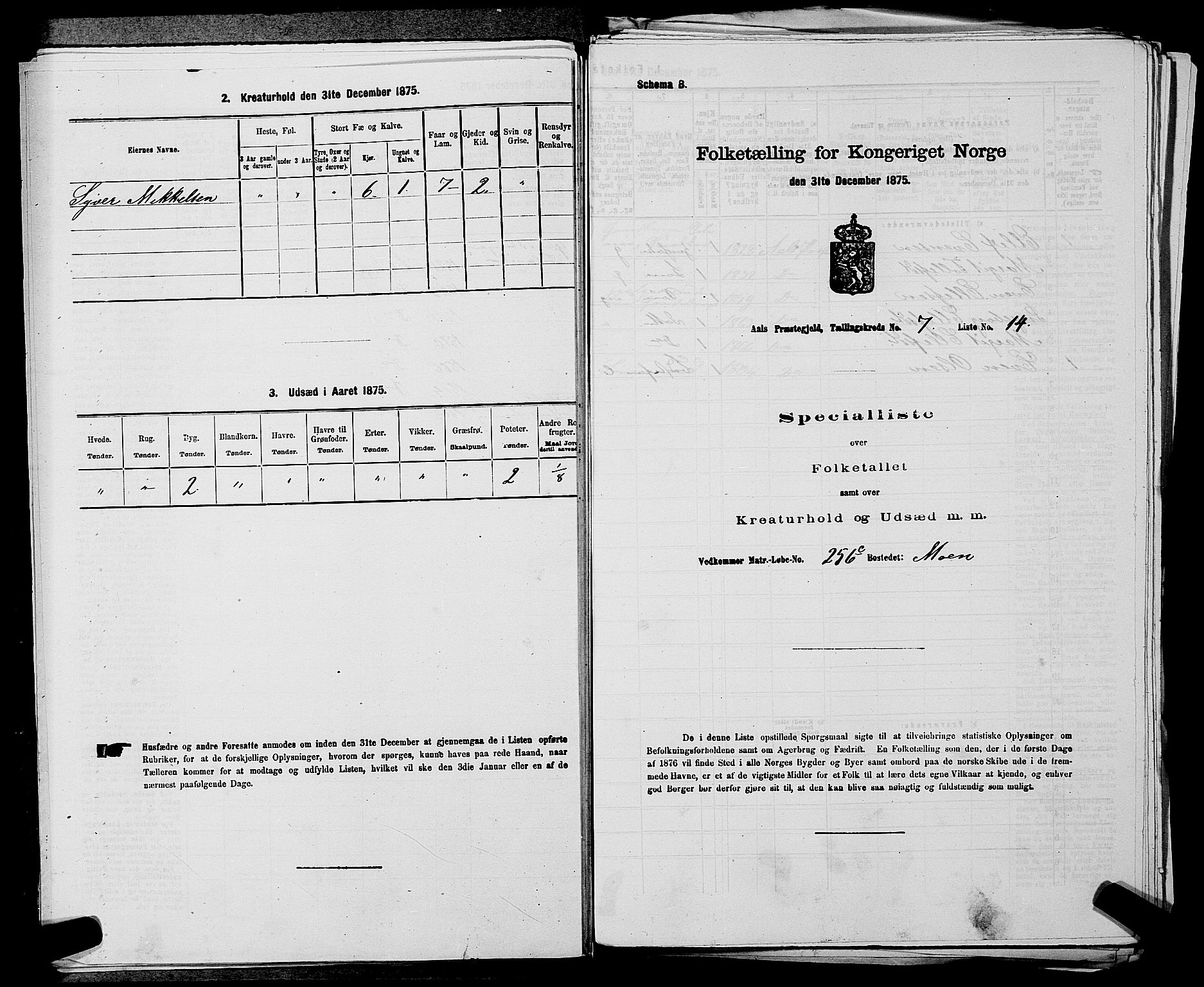 SAKO, 1875 census for 0619P Ål, 1875, p. 862