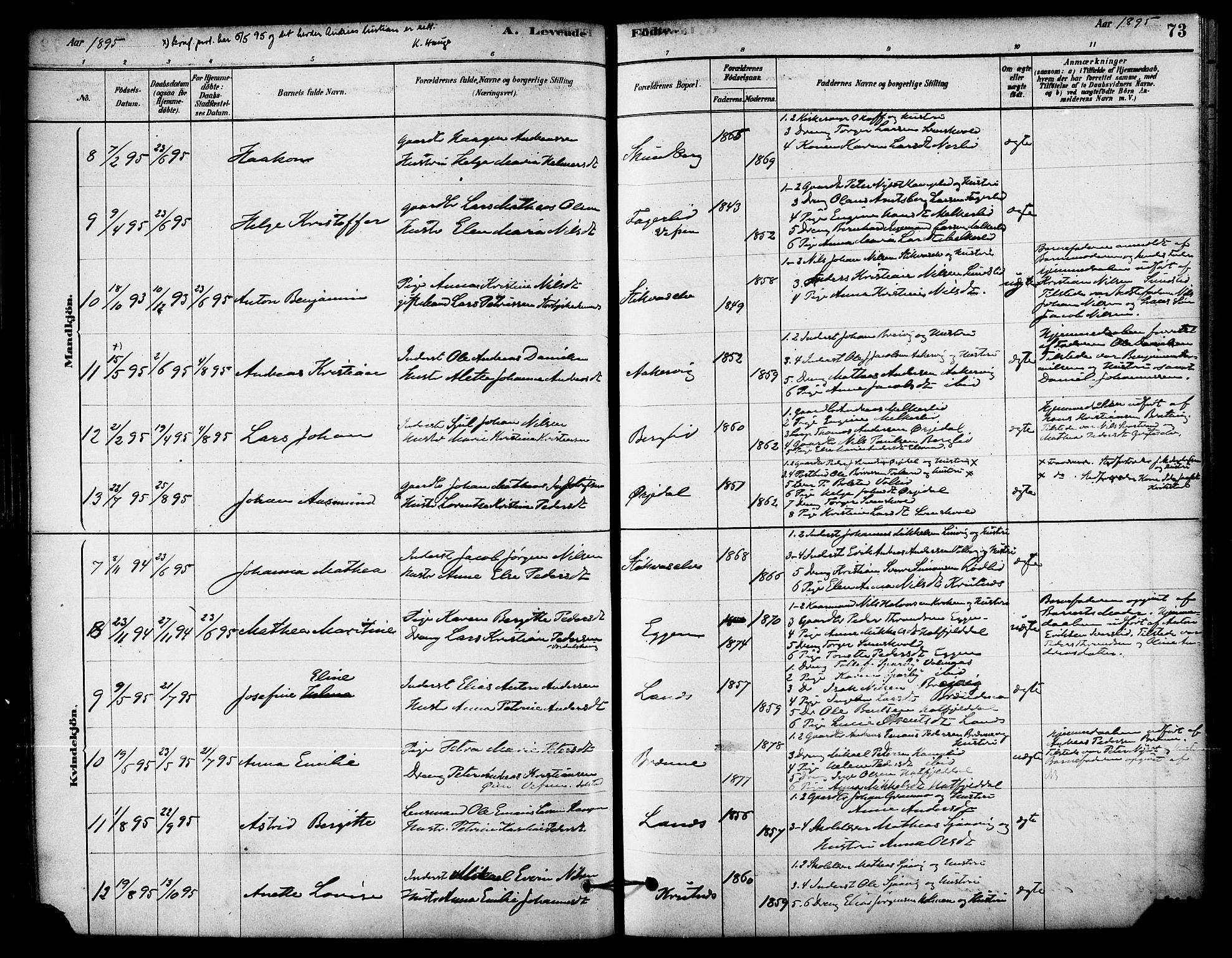 Ministerialprotokoller, klokkerbøker og fødselsregistre - Nordland, AV/SAT-A-1459/823/L0325: Parish register (official) no. 823A02, 1878-1898, p. 73