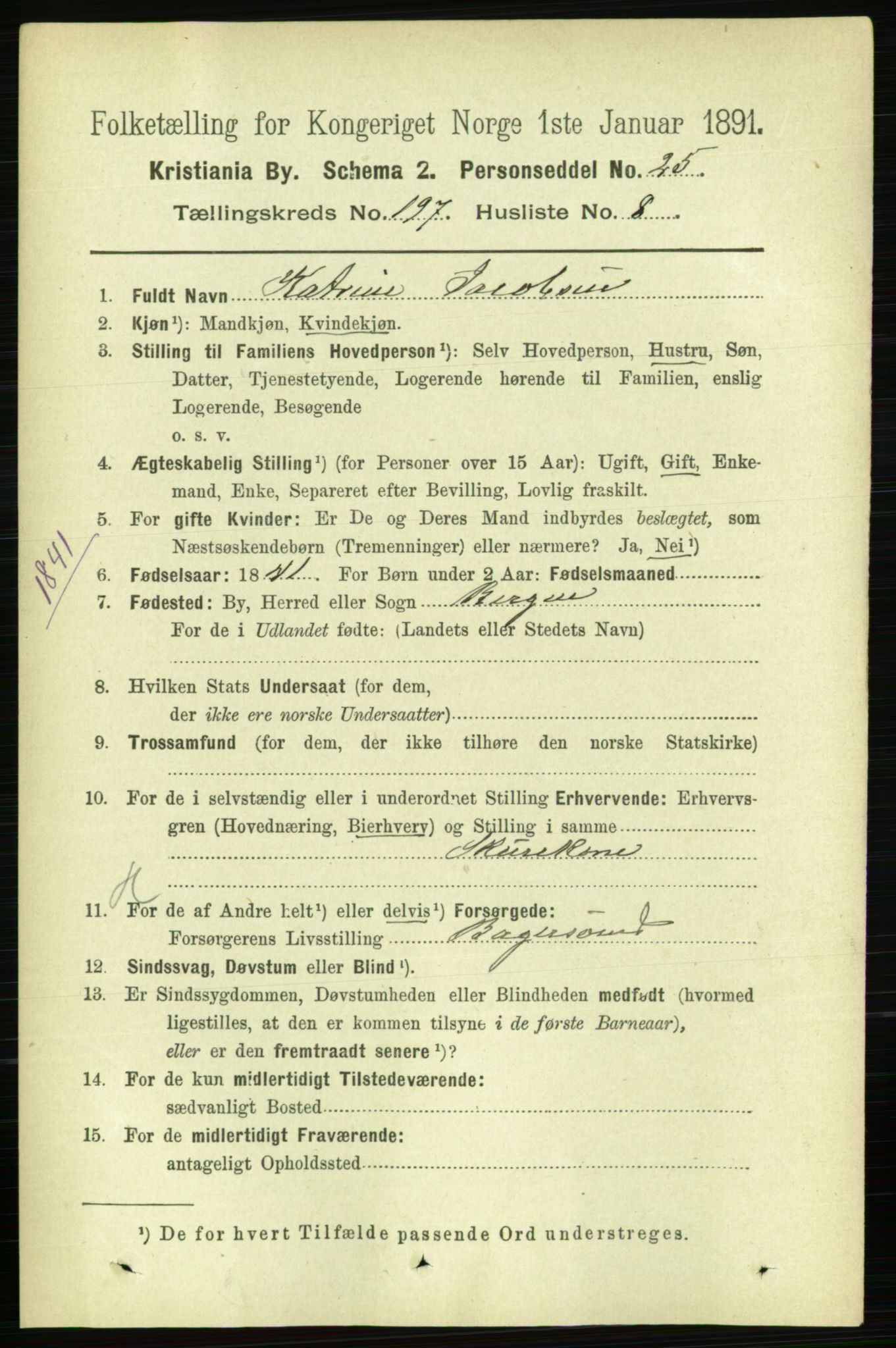 RA, 1891 census for 0301 Kristiania, 1891, p. 118982