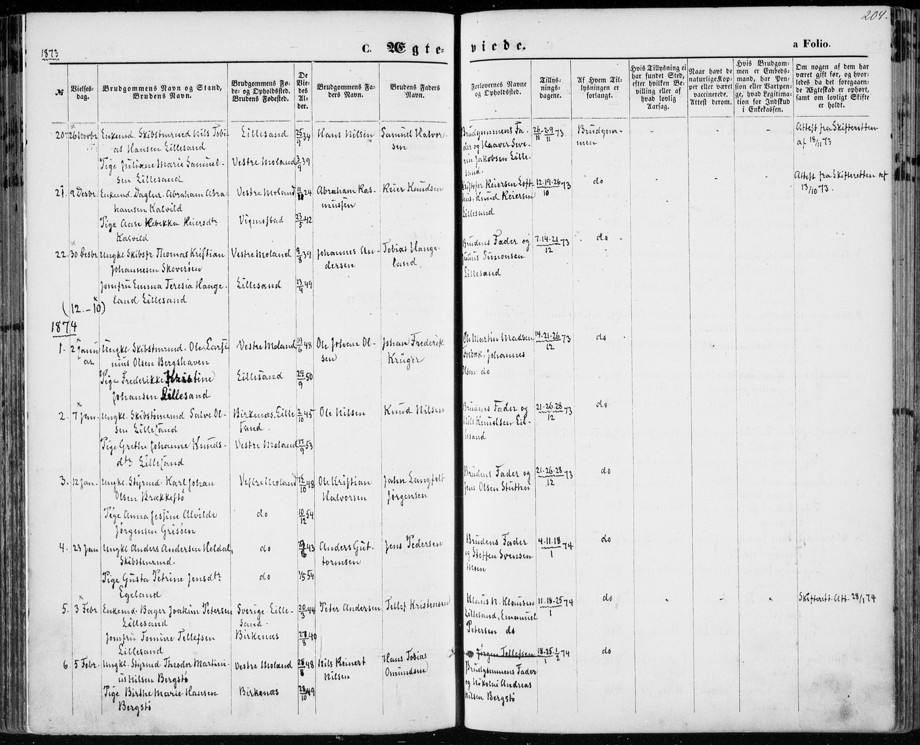 Vestre Moland sokneprestkontor, SAK/1111-0046/F/Fa/Fab/L0008: Parish register (official) no. A 8, 1873-1883, p. 204