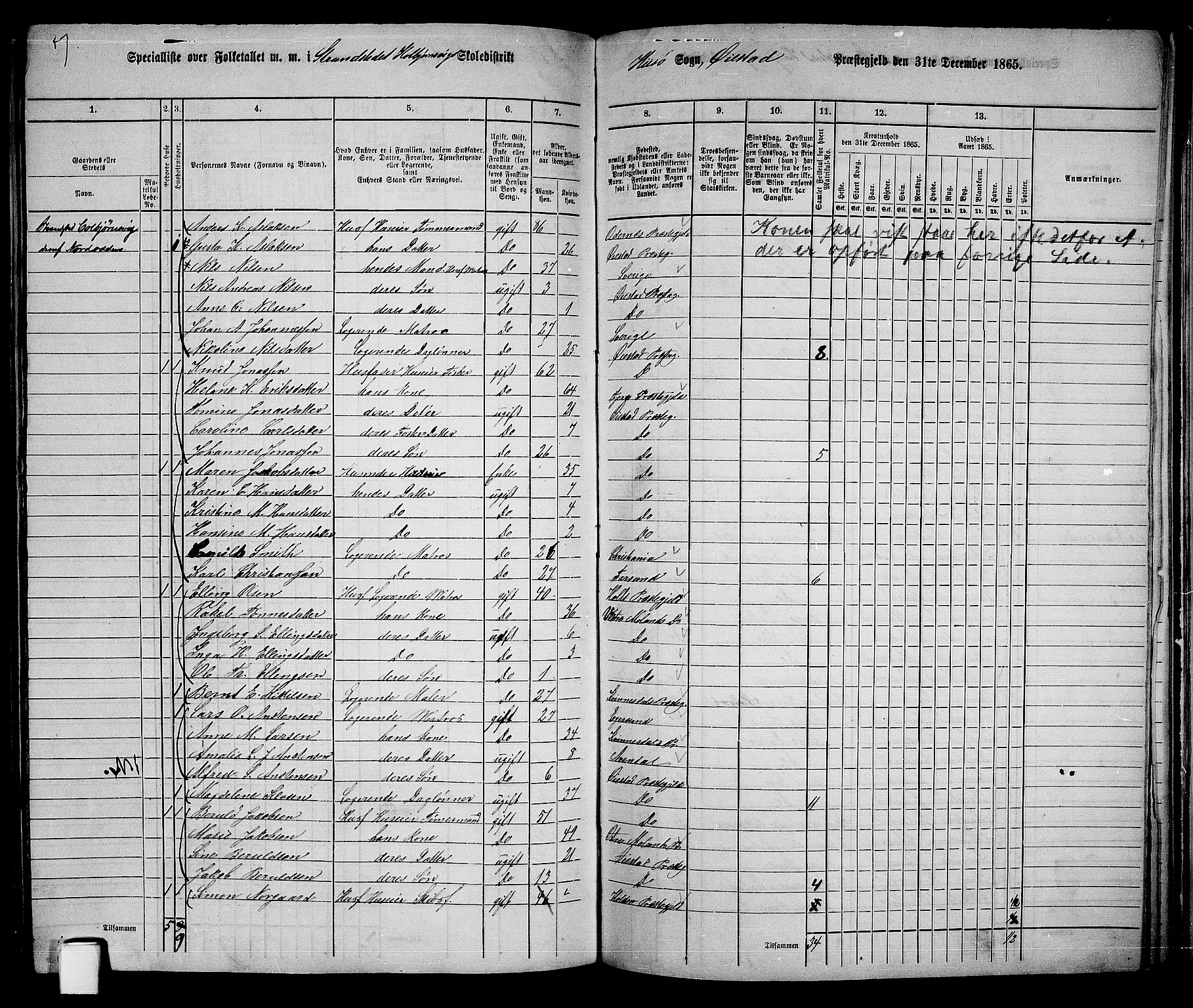 RA, 1865 census for Øyestad, 1865, p. 224