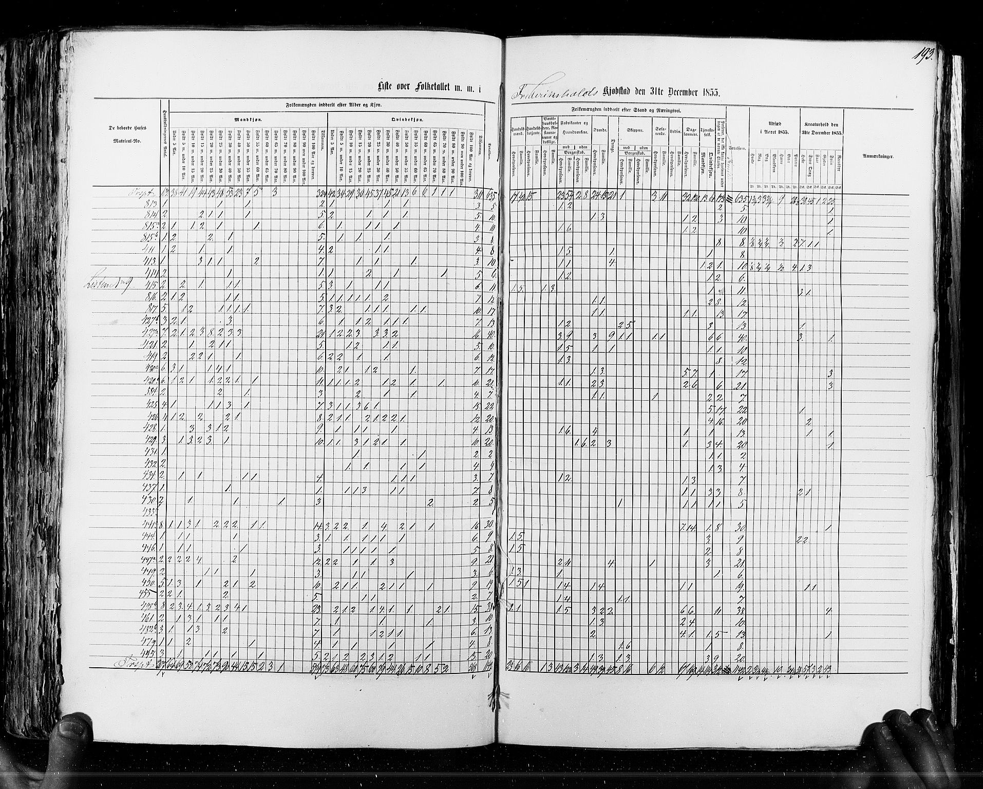 RA, Census 1855, vol. 7: Fredrikshald-Kragerø, 1855, p. 193