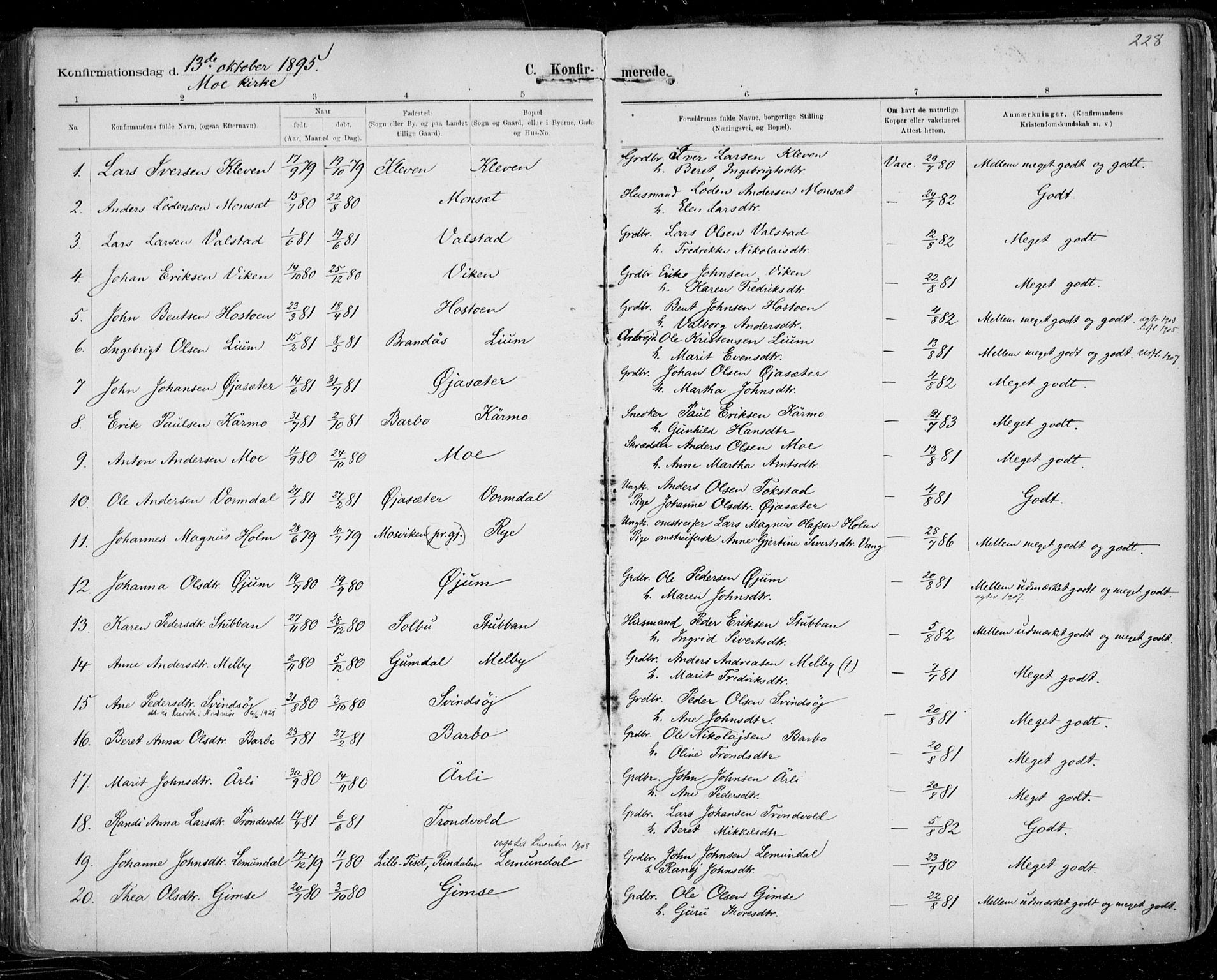 Ministerialprotokoller, klokkerbøker og fødselsregistre - Sør-Trøndelag, SAT/A-1456/668/L0811: Parish register (official) no. 668A11, 1894-1913, p. 228