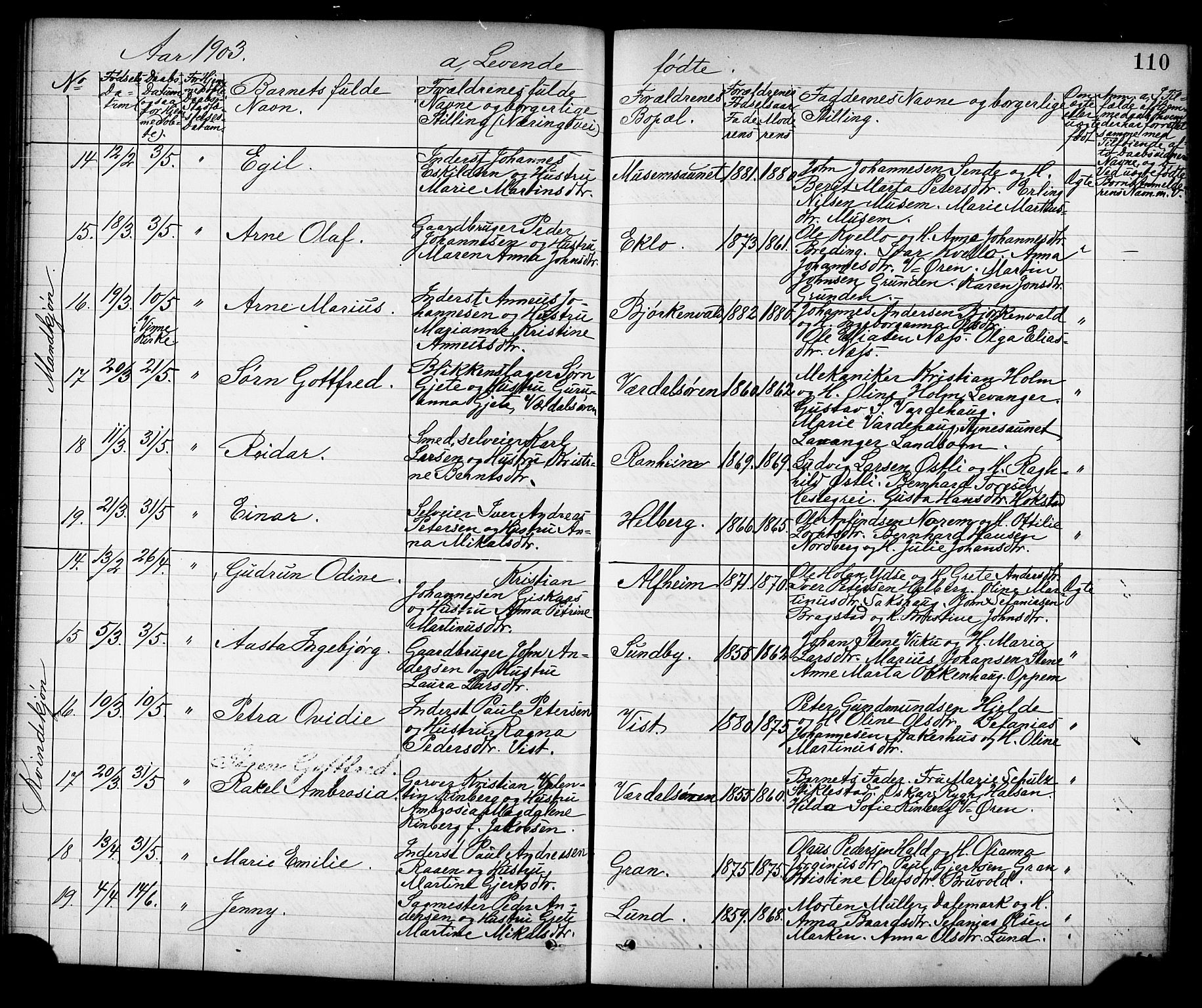 Ministerialprotokoller, klokkerbøker og fødselsregistre - Nord-Trøndelag, SAT/A-1458/723/L0257: Parish register (copy) no. 723C05, 1890-1907, p. 110