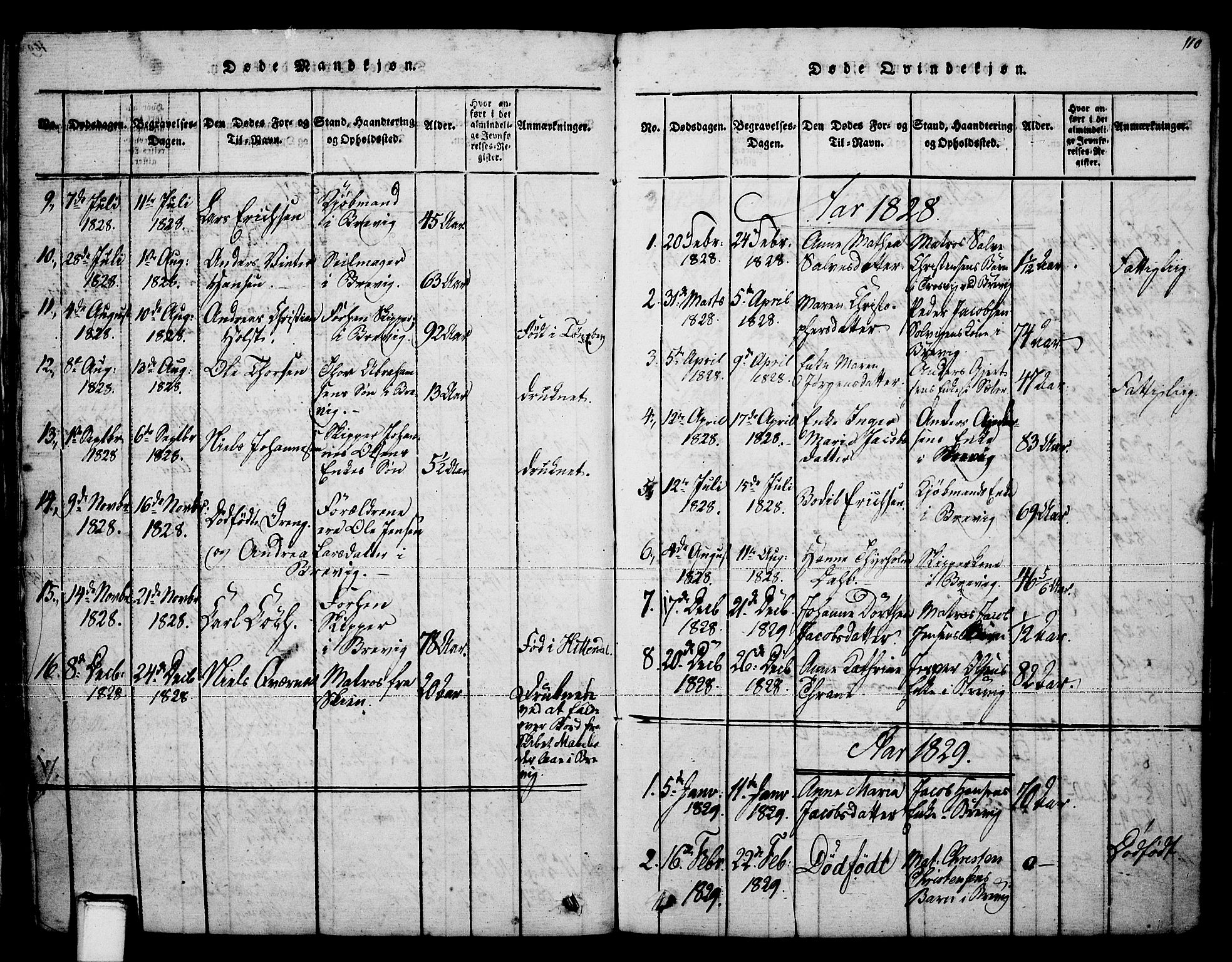 Brevik kirkebøker, SAKO/A-255/F/Fa/L0004: Parish register (official) no. 4, 1814-1846, p. 110