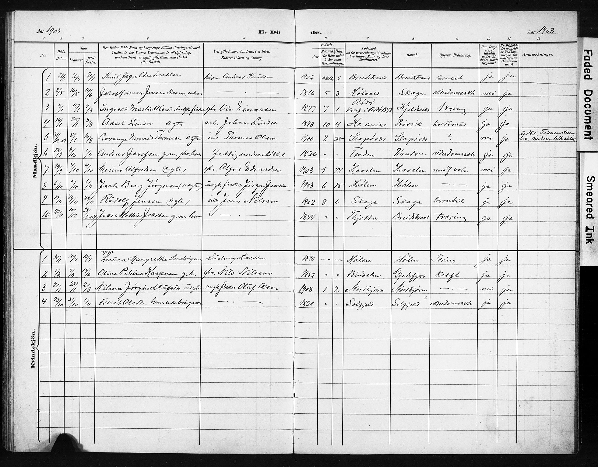 Ministerialprotokoller, klokkerbøker og fødselsregistre - Nordland, AV/SAT-A-1459/836/L0538: Parish register (copy) no. 836C02, 1901-1917