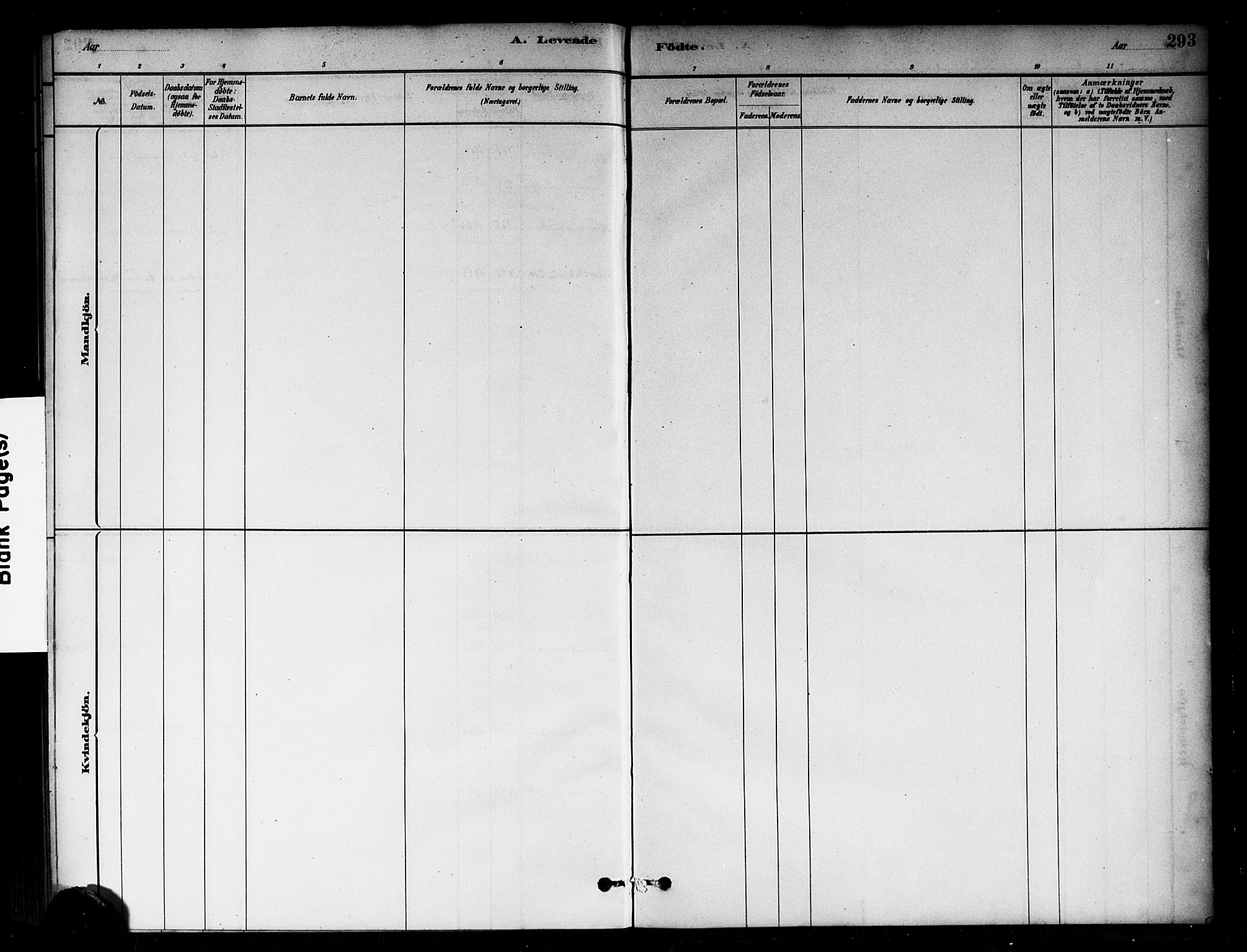 Sagene prestekontor Kirkebøker, SAO/A-10796/G/L0001: Parish register (copy) no. 1, 1880-1891, p. 293