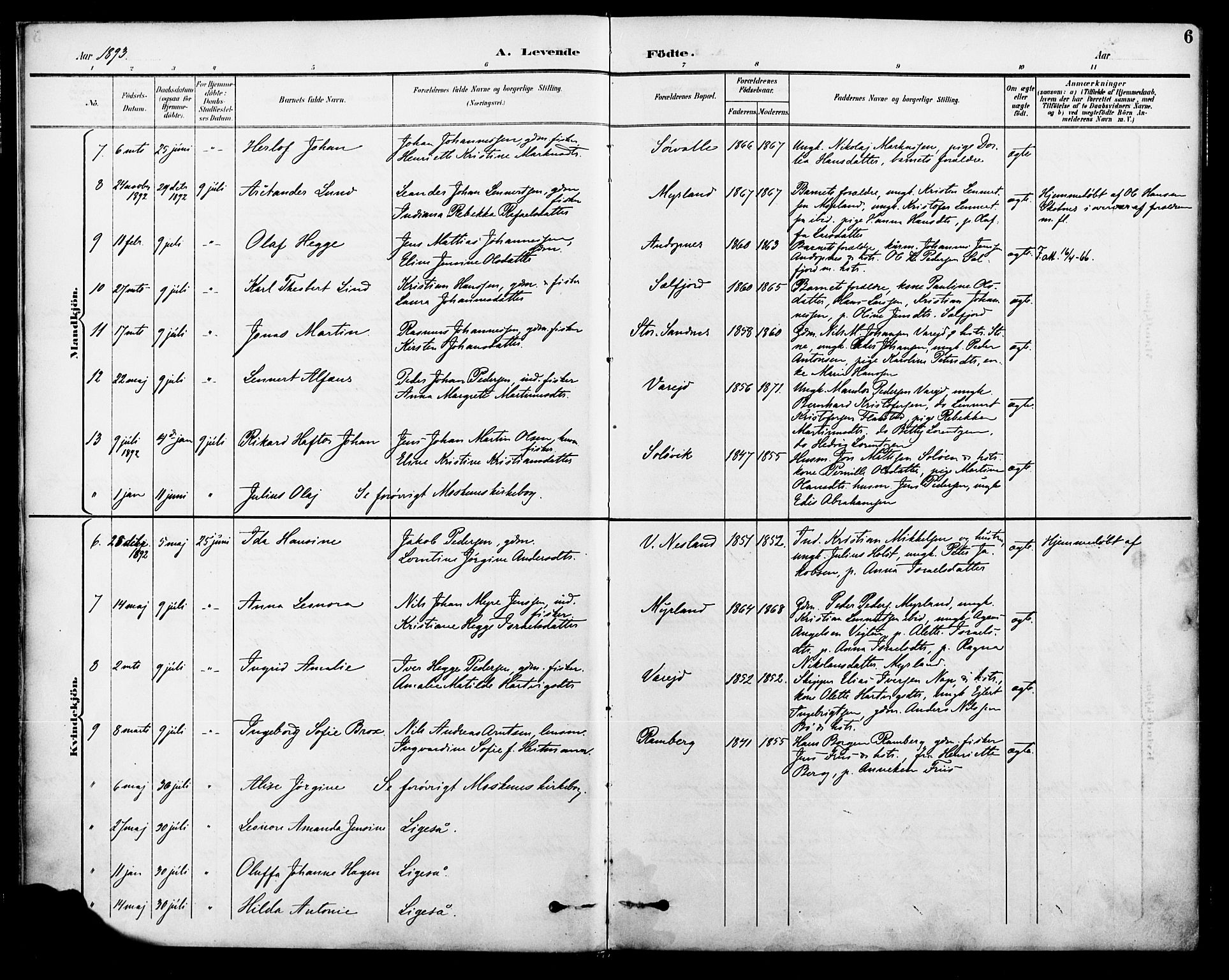 Ministerialprotokoller, klokkerbøker og fødselsregistre - Nordland, AV/SAT-A-1459/885/L1205: Parish register (official) no. 885A06, 1892-1905, p. 6