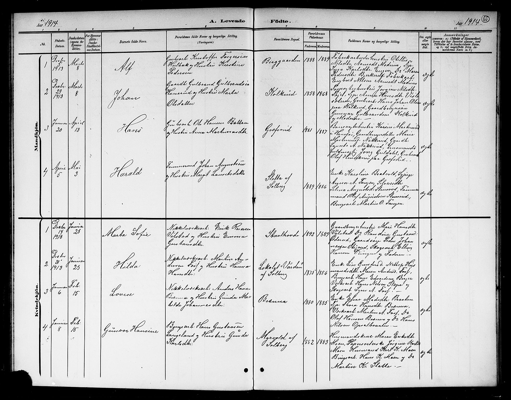 Hole kirkebøker, SAKO/A-228/G/Gb/L0004: Parish register (copy) no. II 4, 1901-1916, p. 65