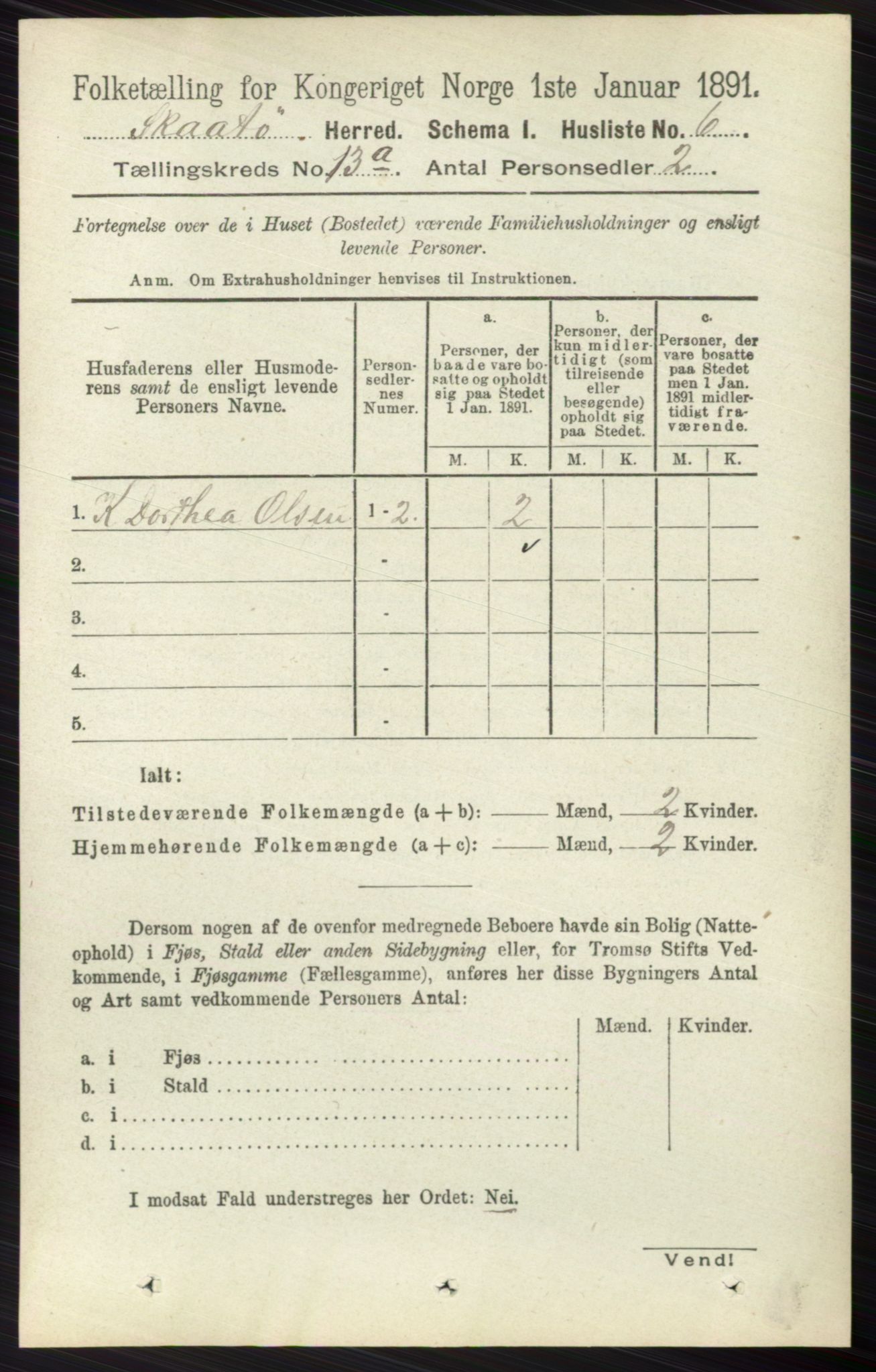 RA, 1891 census for 0815 Skåtøy, 1891, p. 4387