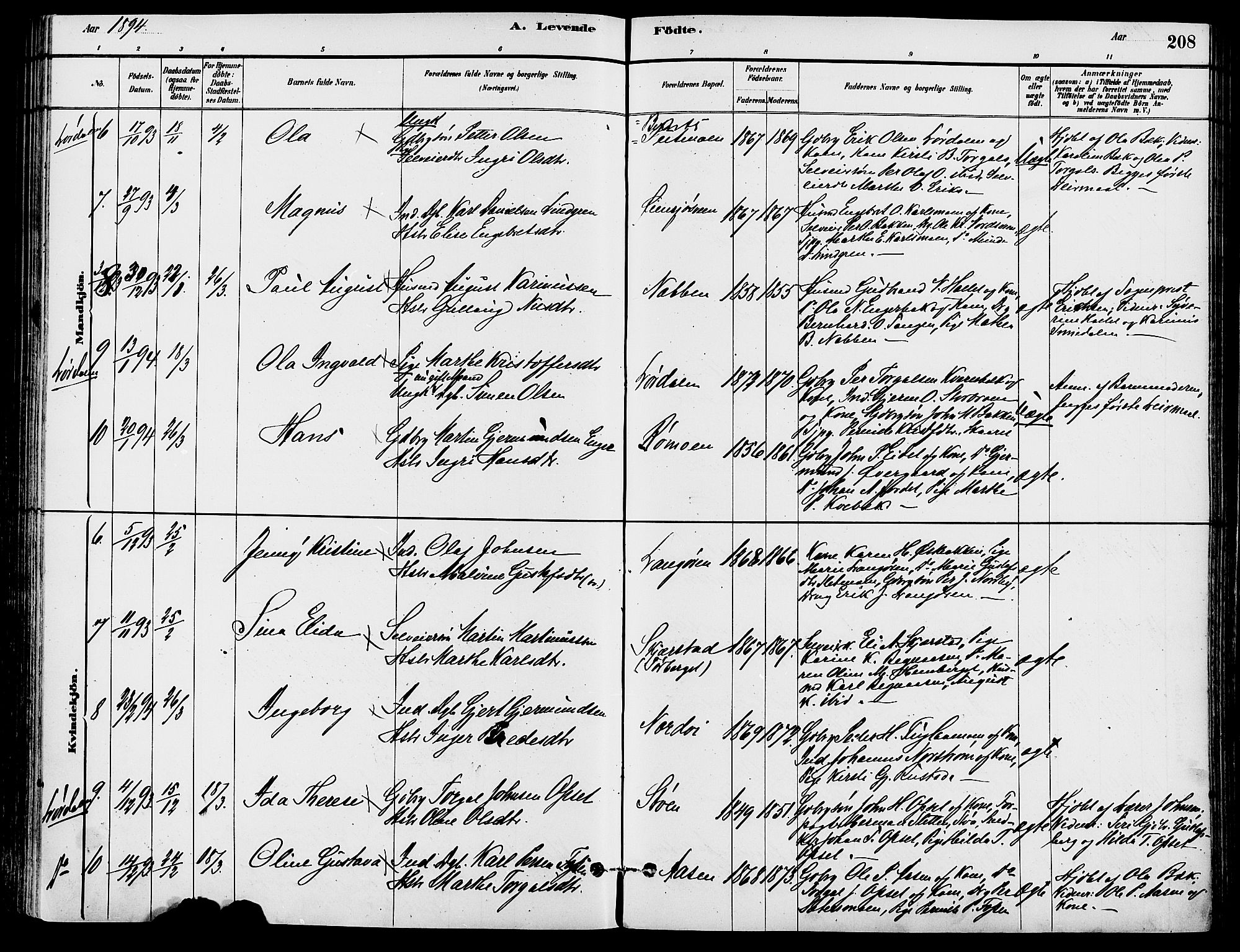 Trysil prestekontor, SAH/PREST-046/H/Ha/Haa/L0008: Parish register (official) no. 8, 1881-1897, p. 208