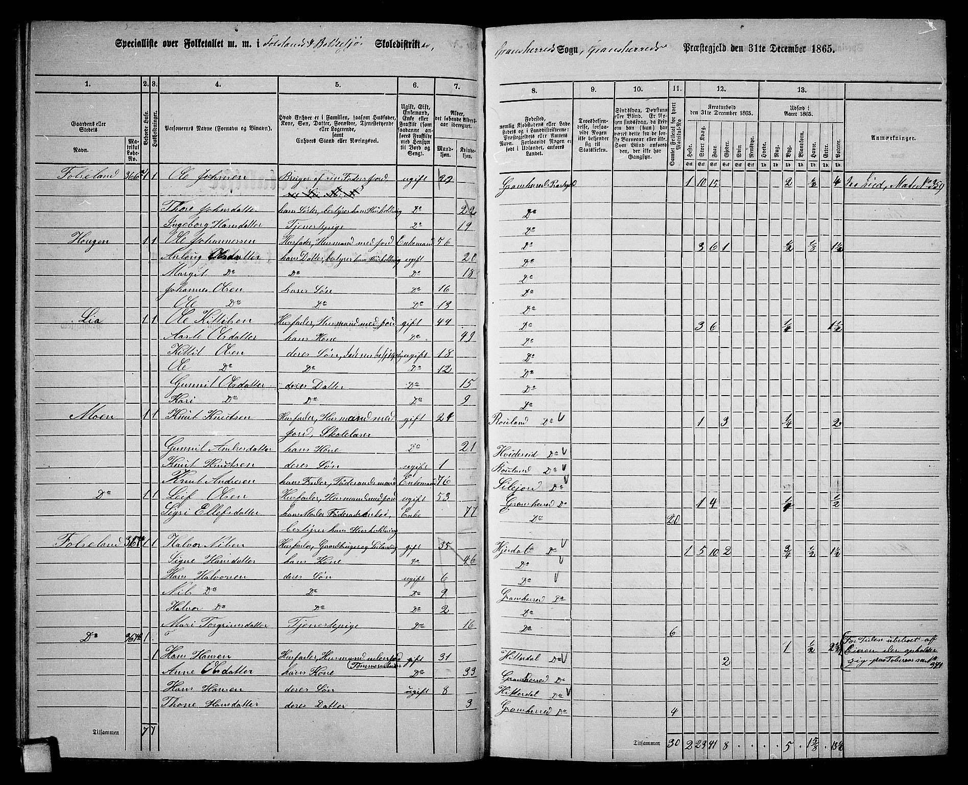 RA, 1865 census for Gransherad, 1865, p. 46