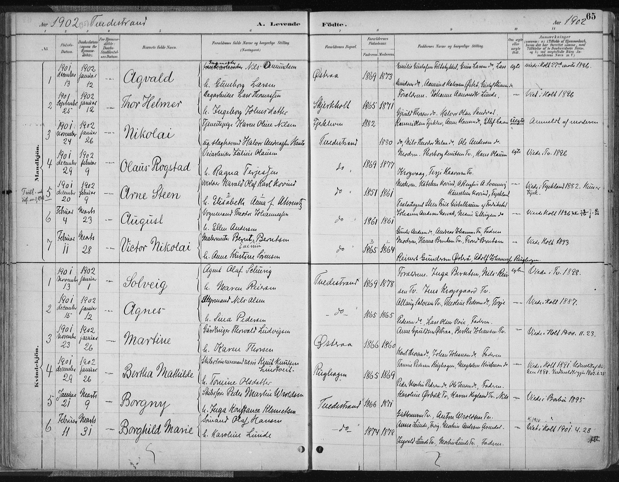 Tvedestrand sokneprestkontor, SAK/1111-0042/F/Fa/L0001: Parish register (official) no. A 1, 1885-1916, p. 65