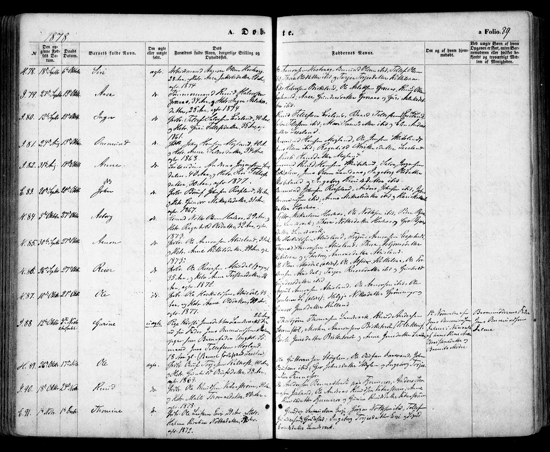 Evje sokneprestkontor, SAK/1111-0008/F/Fa/Faa/L0006: Parish register (official) no. A 6, 1866-1884, p. 89