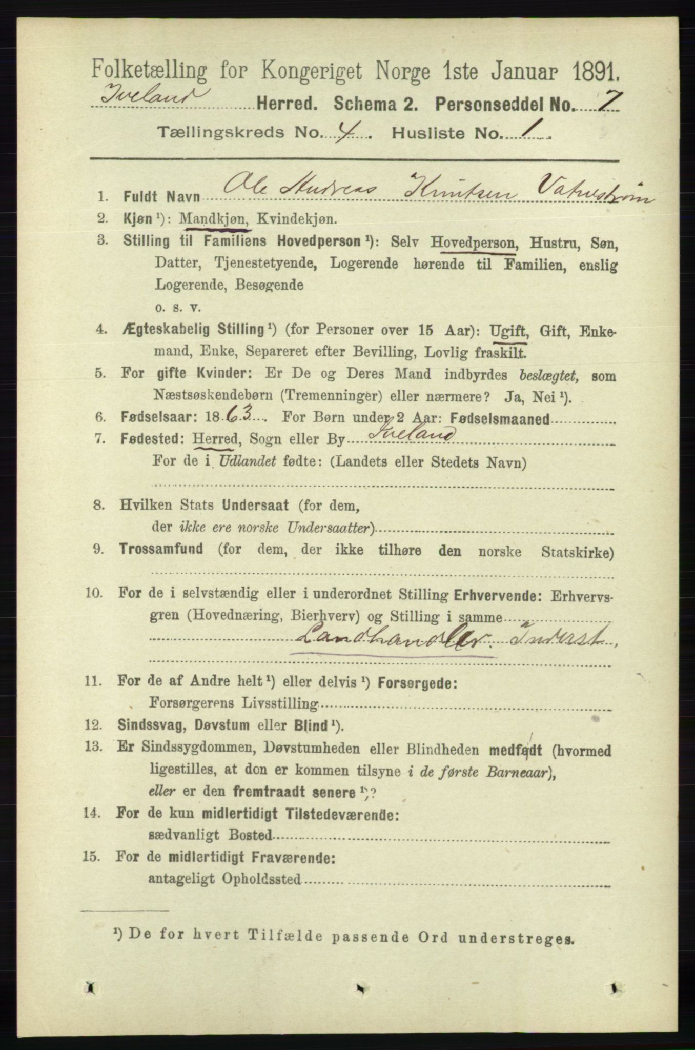 RA, 1891 census for 0935 Iveland, 1891, p. 1029